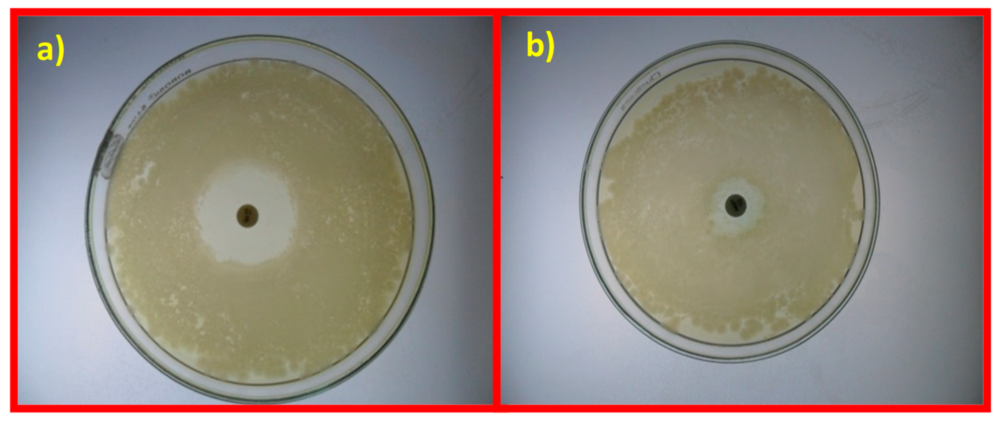 Nanomaterials 10 00105 g006 Nanomaterials 10 00105 g006