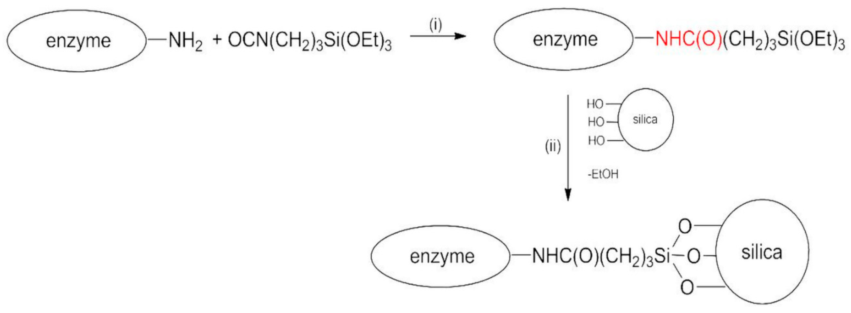 Nanomaterials 10 00108 sch001 Nanomaterials 10 00108 sch001