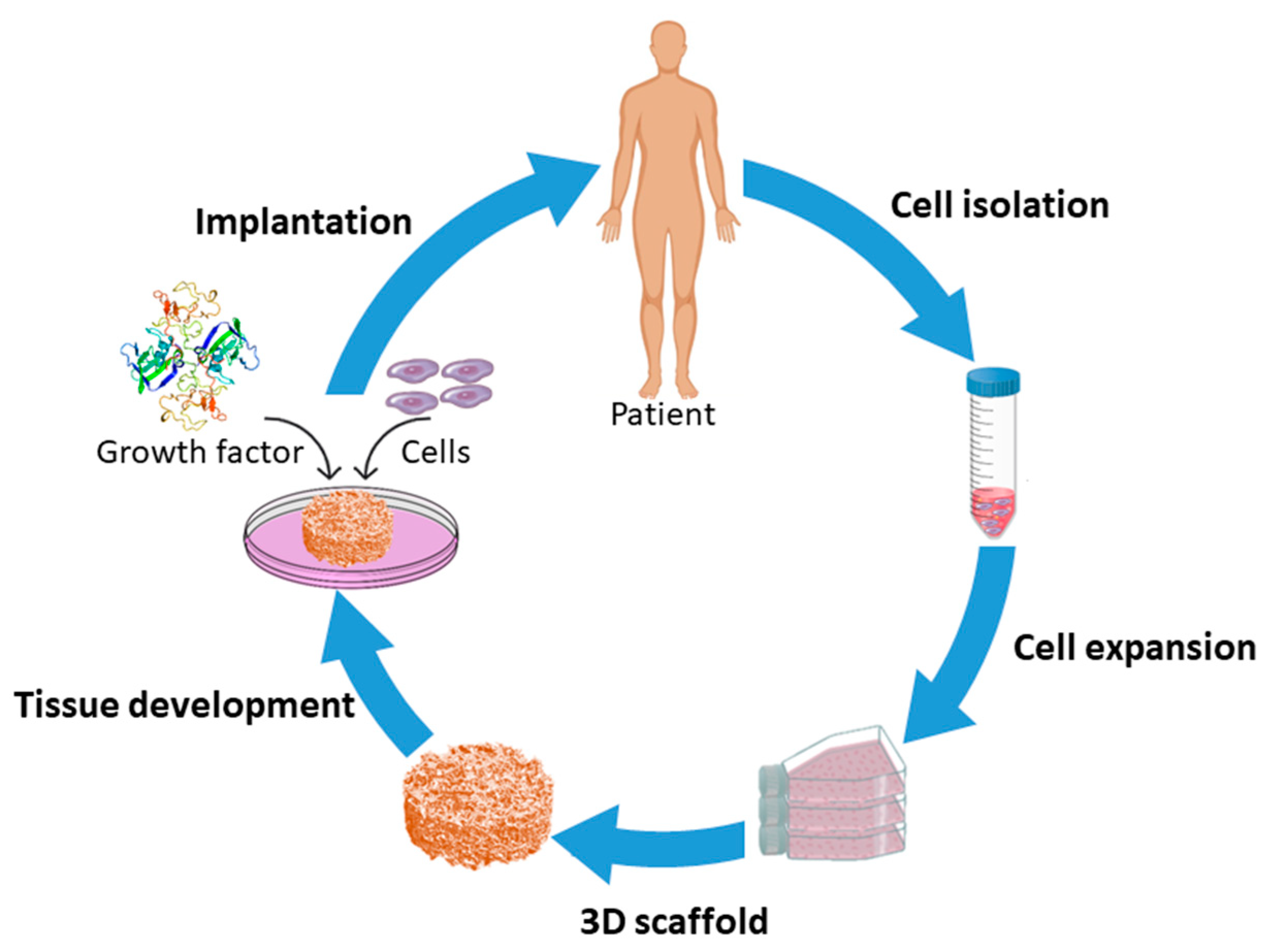 Nanomaterials 10 00119 g001 Nanomaterials 10 00119 g001