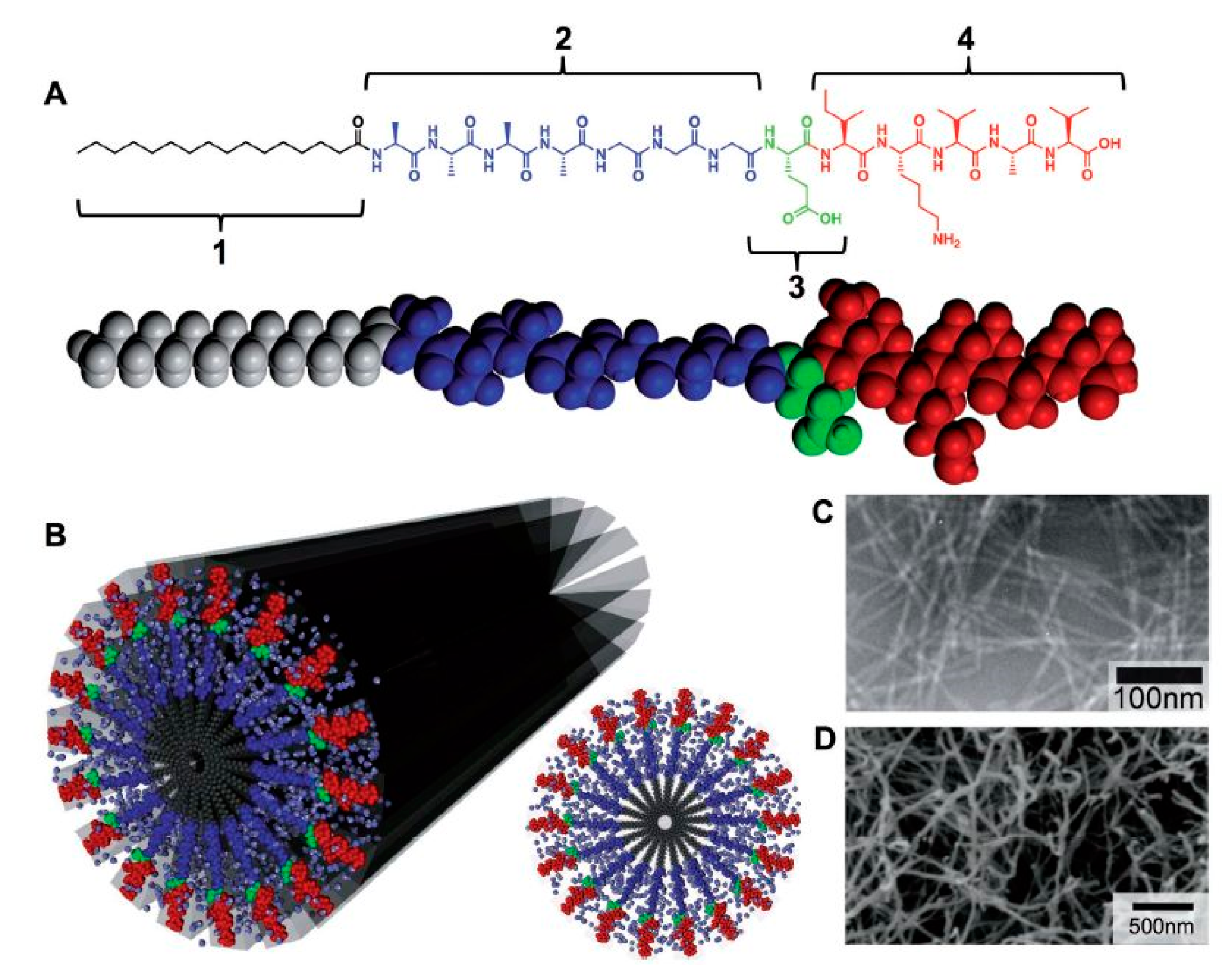 Nanomaterials 10 00119 g006 Nanomaterials 10 00119 g006
