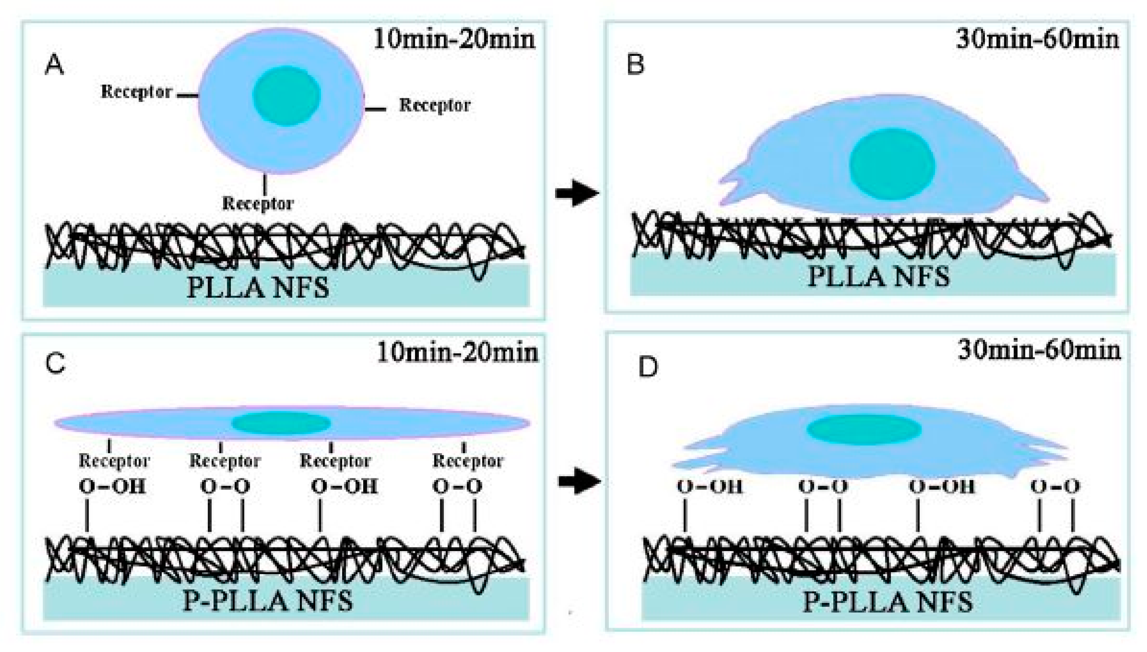 Nanomaterials 10 00119 g015 Nanomaterials 10 00119 g015