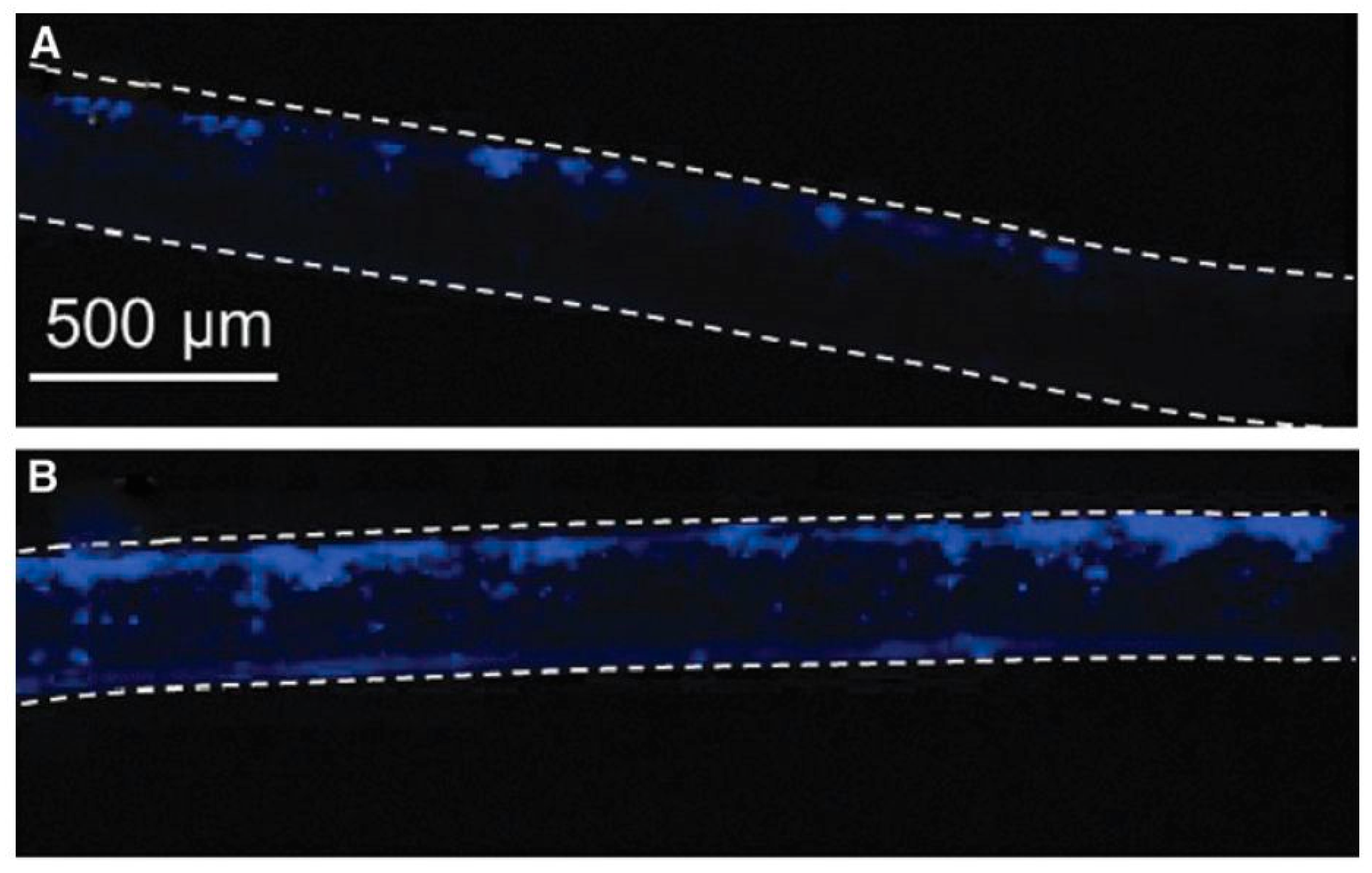 Nanomaterials 10 00119 g016 Nanomaterials 10 00119 g016