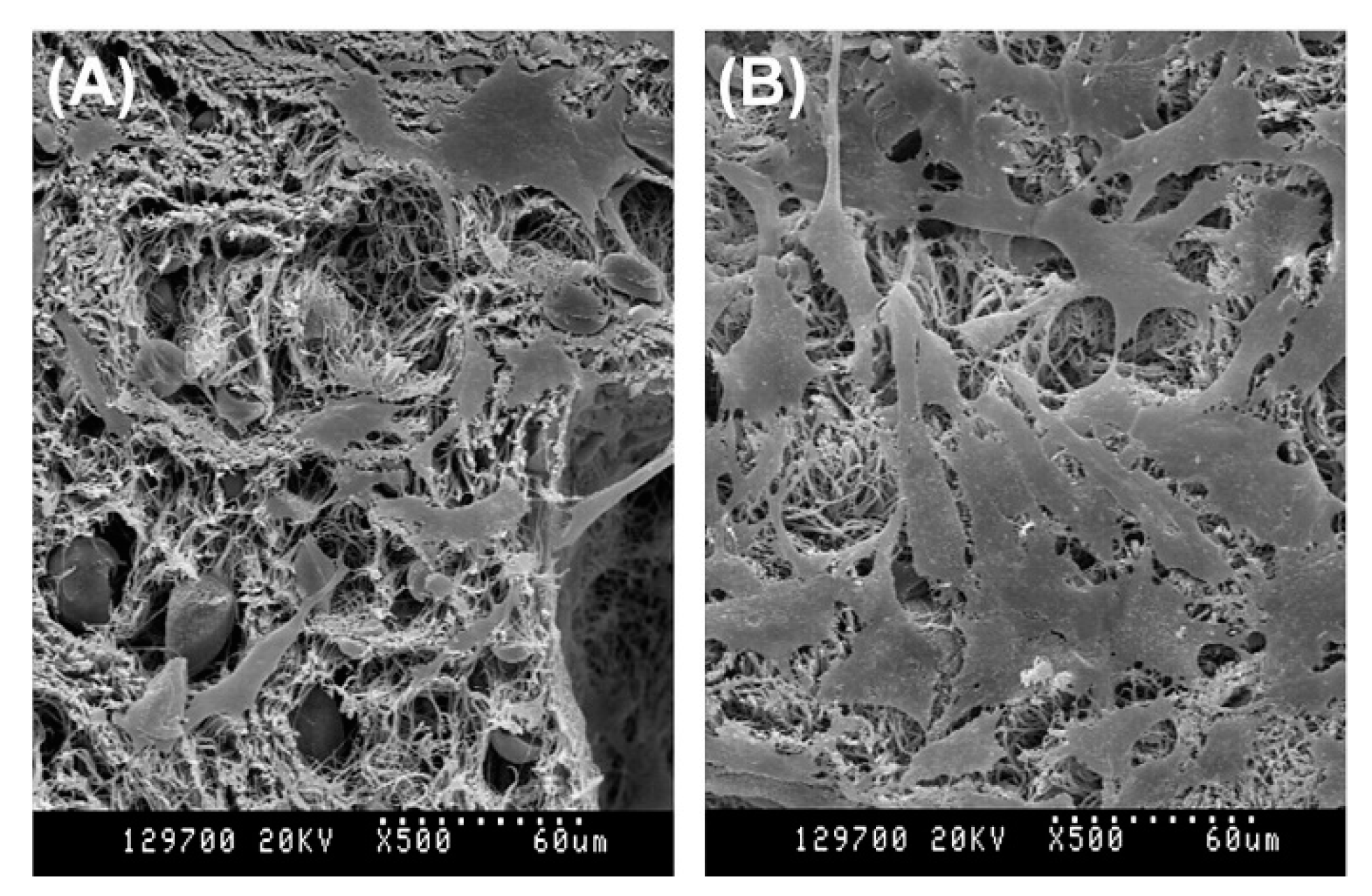 Nanomaterials 10 00119 g017 Nanomaterials 10 00119 g017