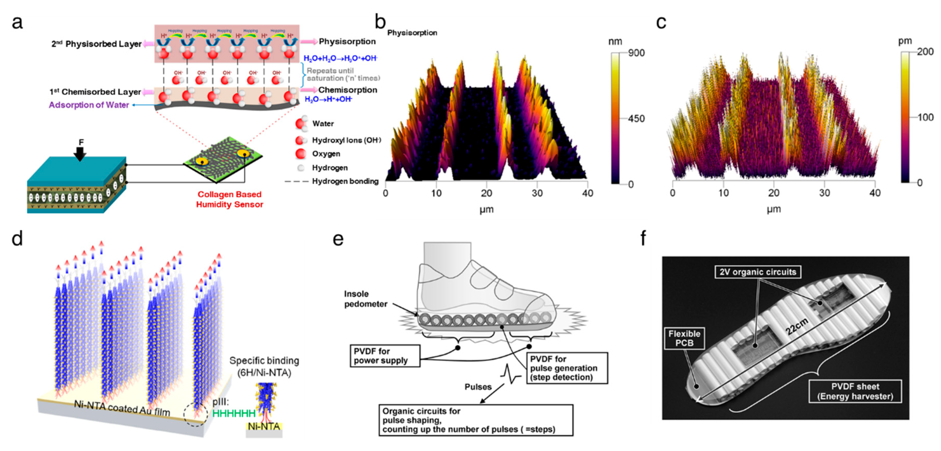 Nanomaterials 10 00123 g002 Nanomaterials 10 00123 g002