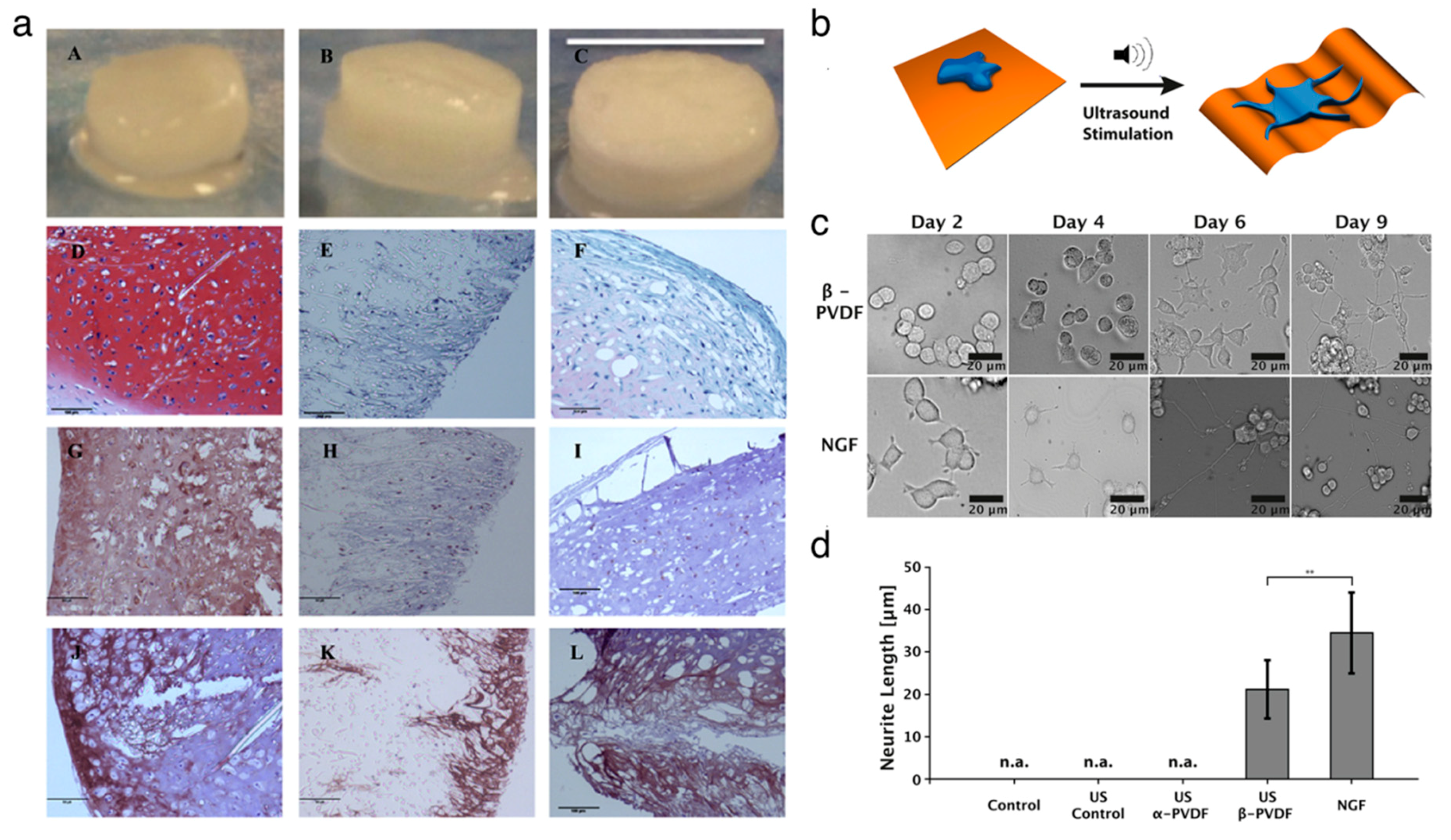 Nanomaterials 10 00123 g004 Nanomaterials 10 00123 g004
