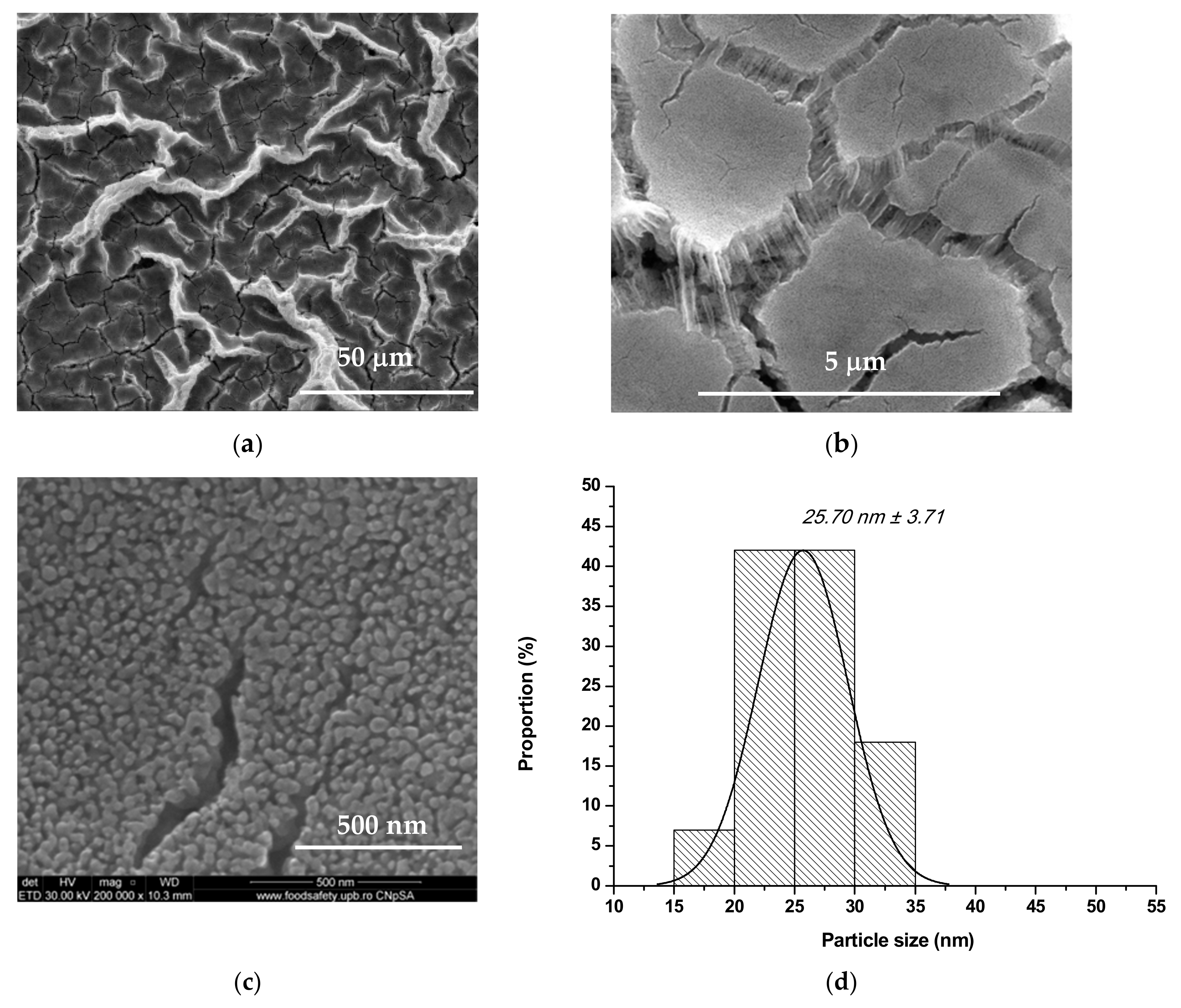 Nanomaterials 10 00129 g005 Nanomaterials 10 00129 g005