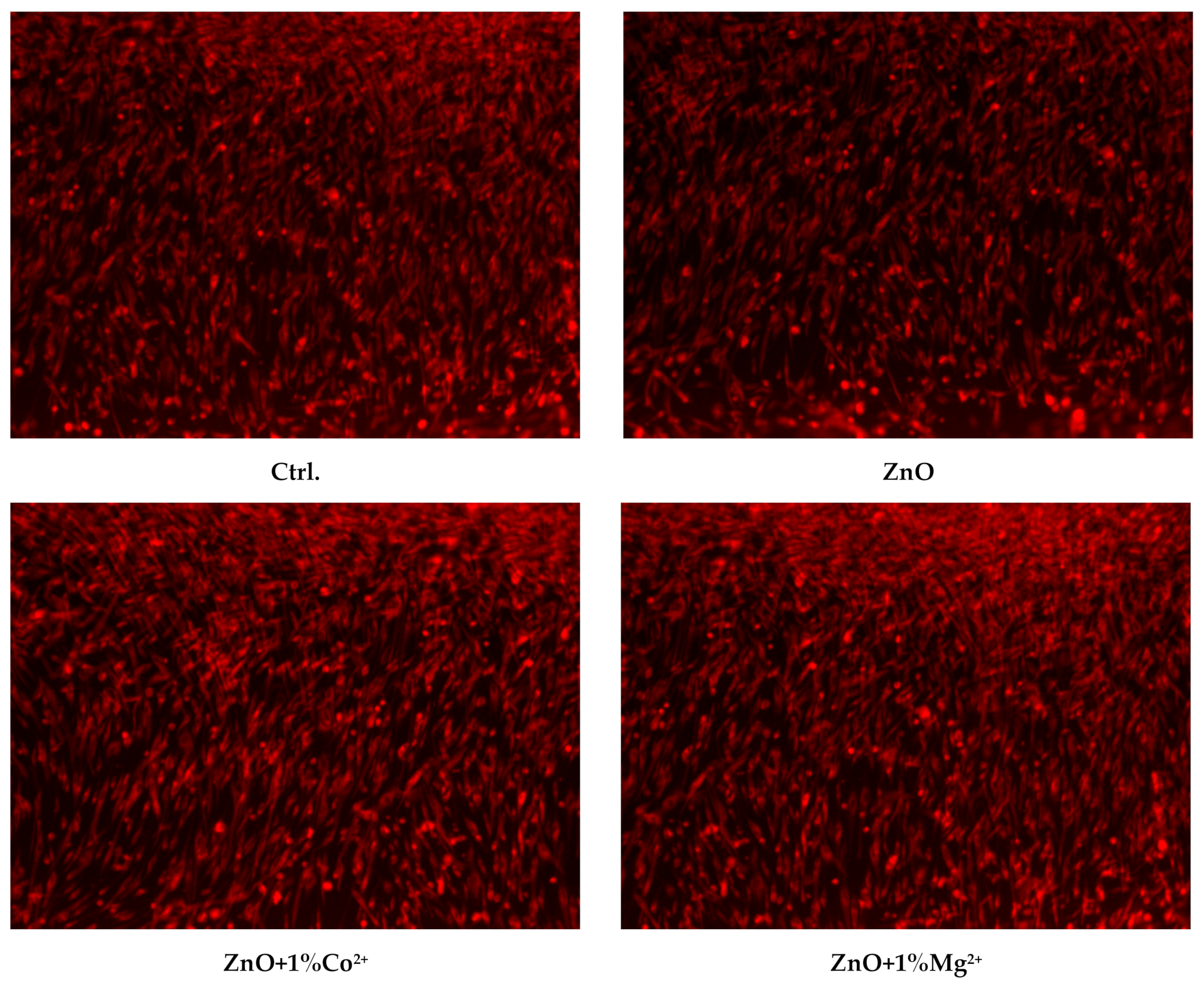 Nanomaterials 10 00129 g009 Nanomaterials 10 00129 g009