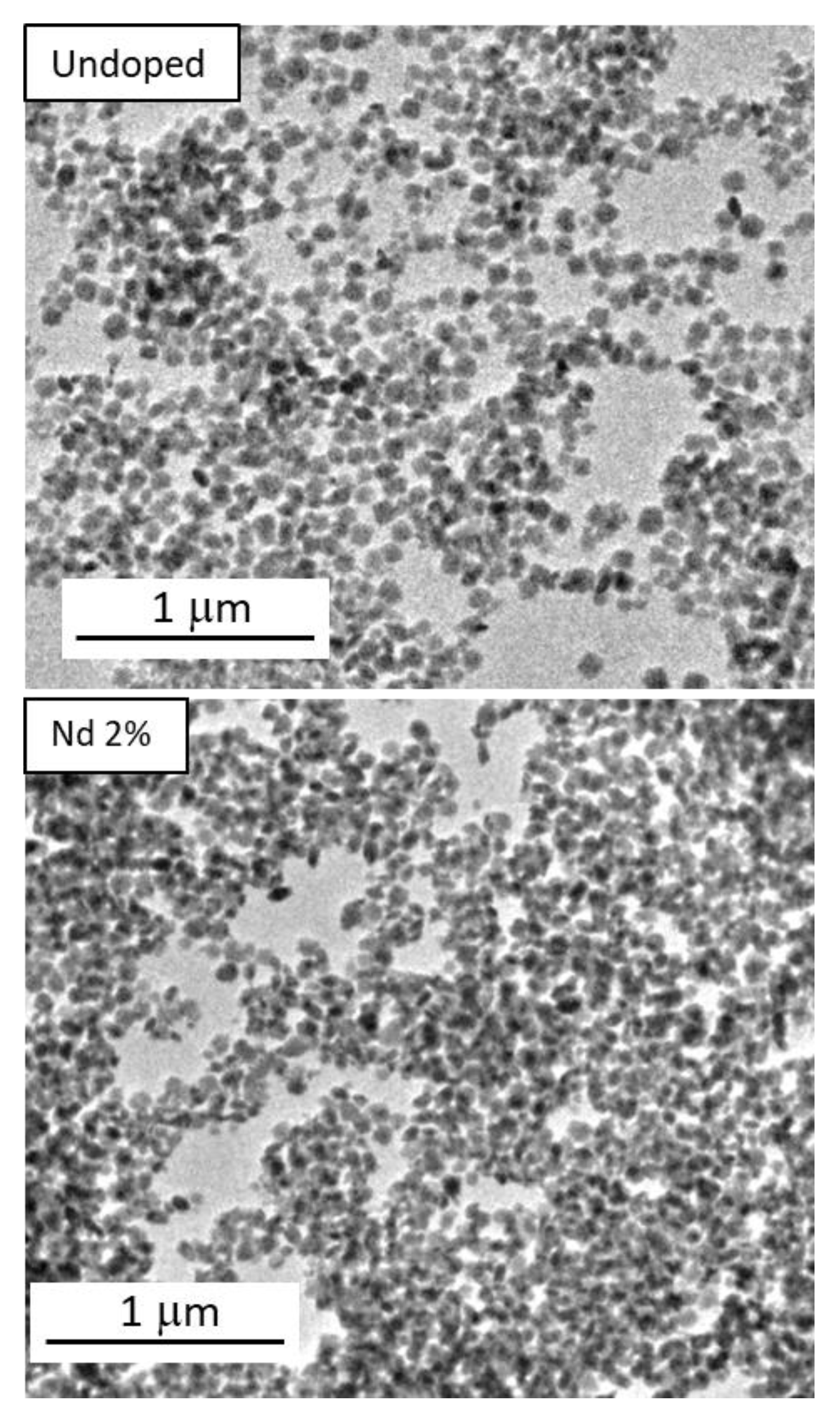 Nanomaterials 10 00149 g001