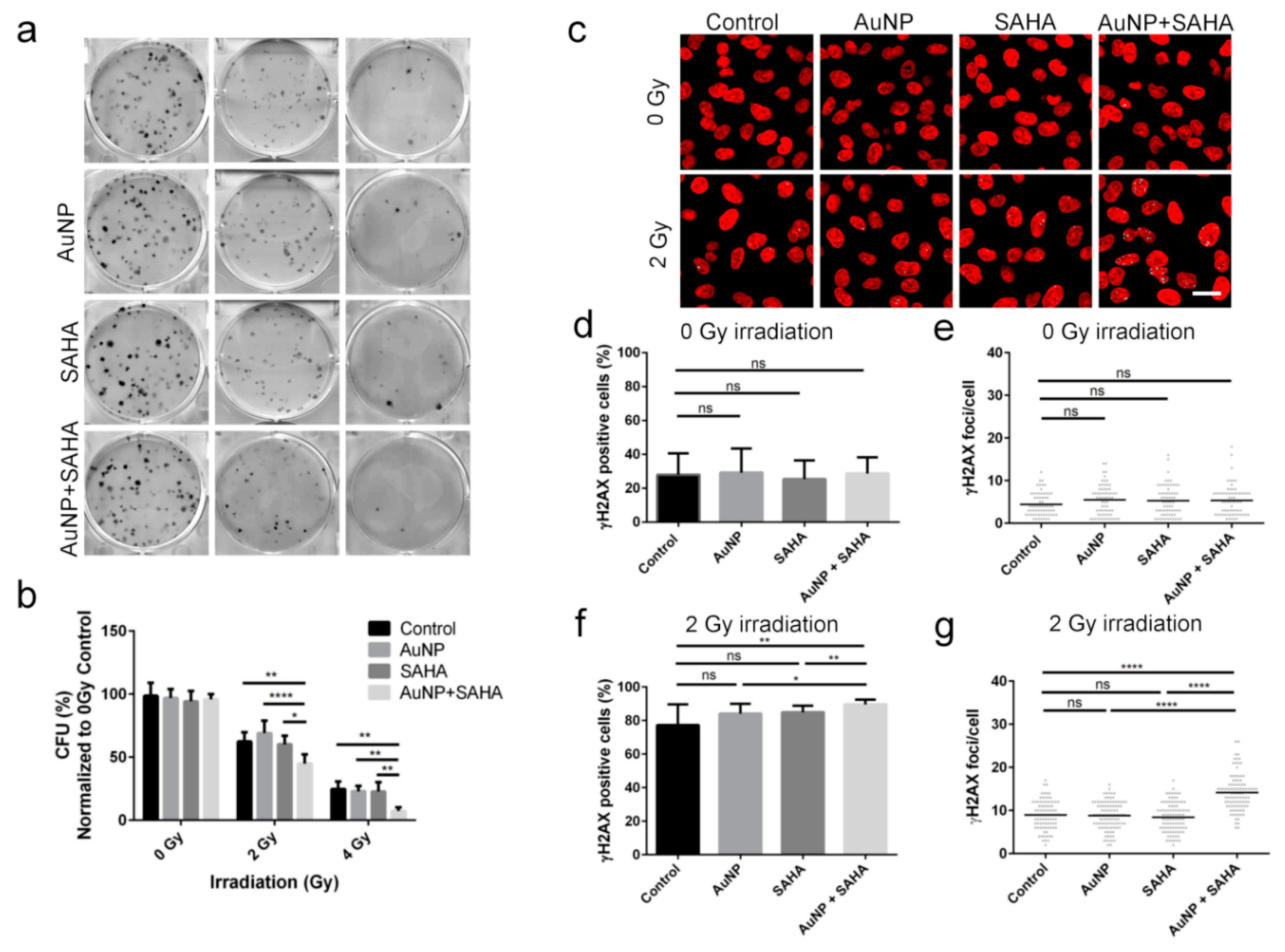 Nanomaterials 10 00158 g005 Nanomaterials 10 00158 g005