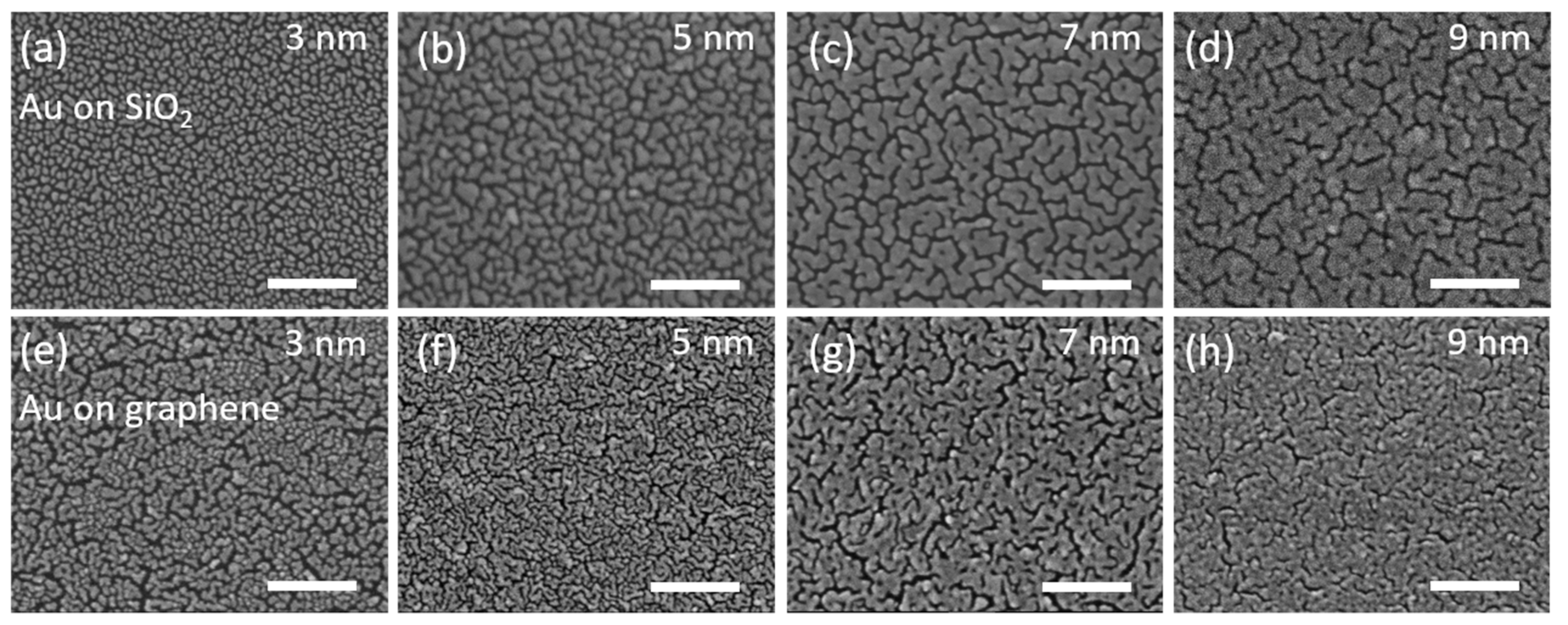 Nanomaterials 10 00164 g002 Nanomaterials 10 00164 g002