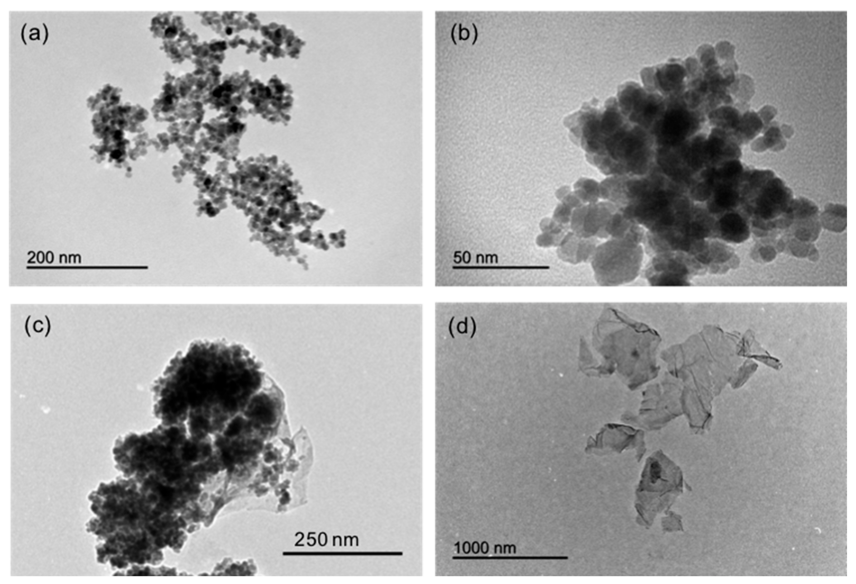 Nanomaterials 10 00168 g002