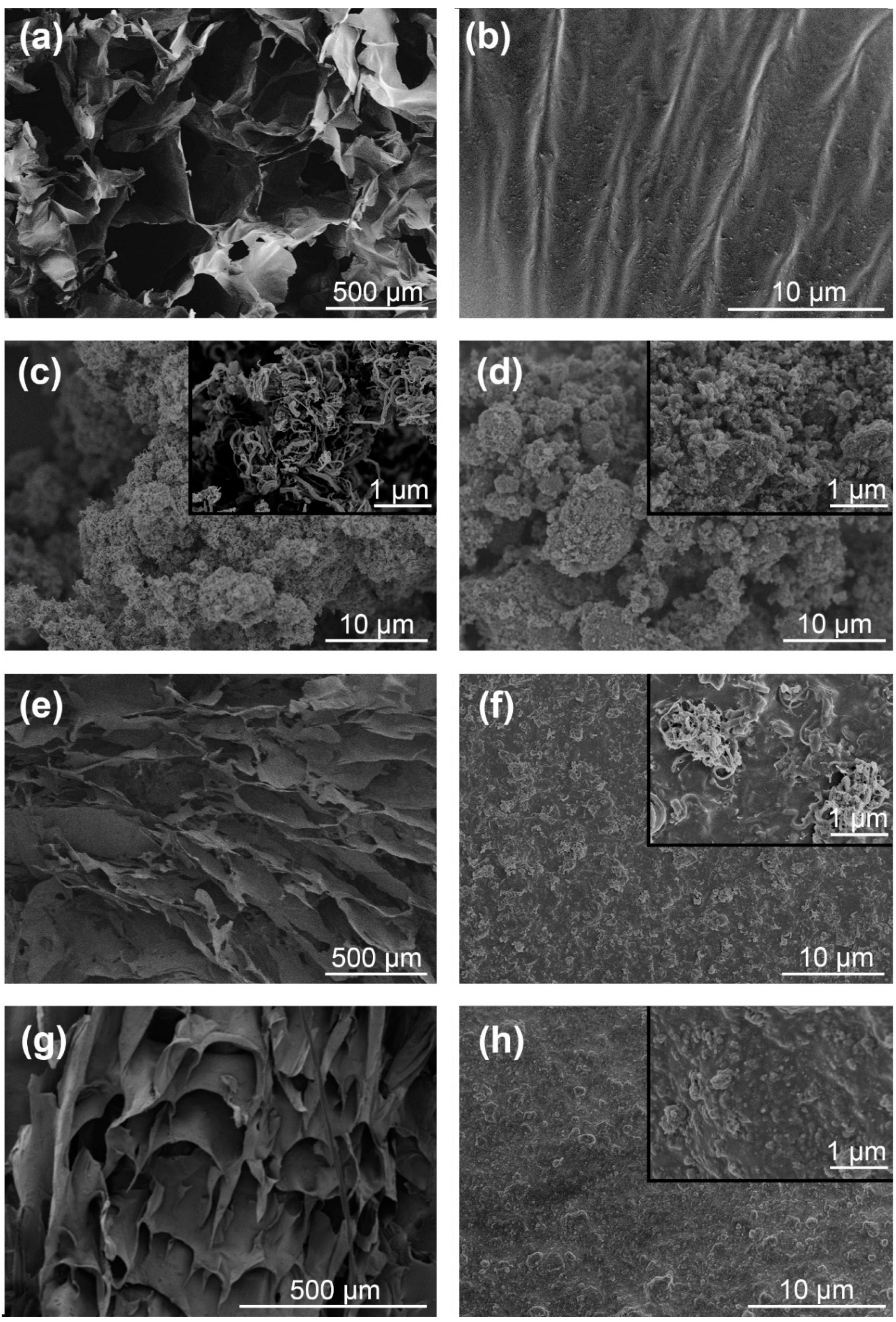 Nanomaterials 10 00169 g003