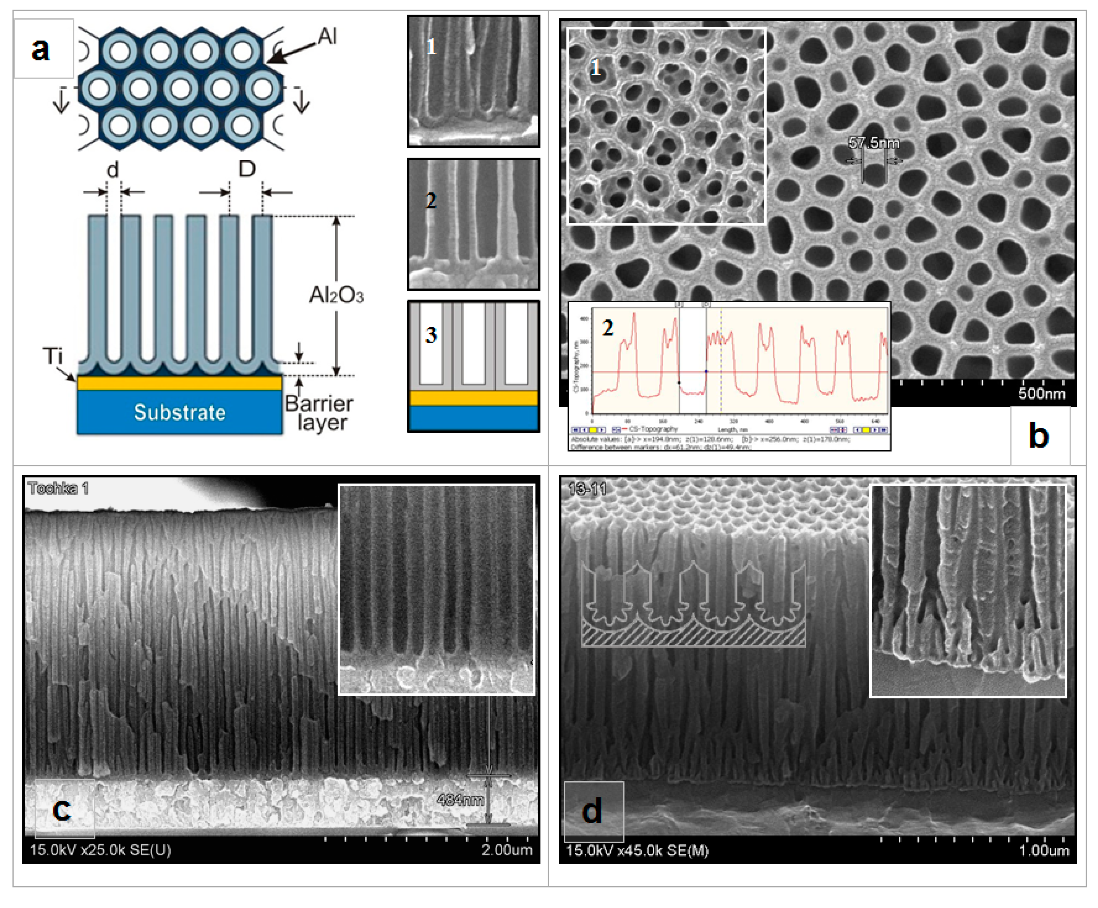 Nanomaterials 10 00173 g001 Nanomaterials 10 00173 g001