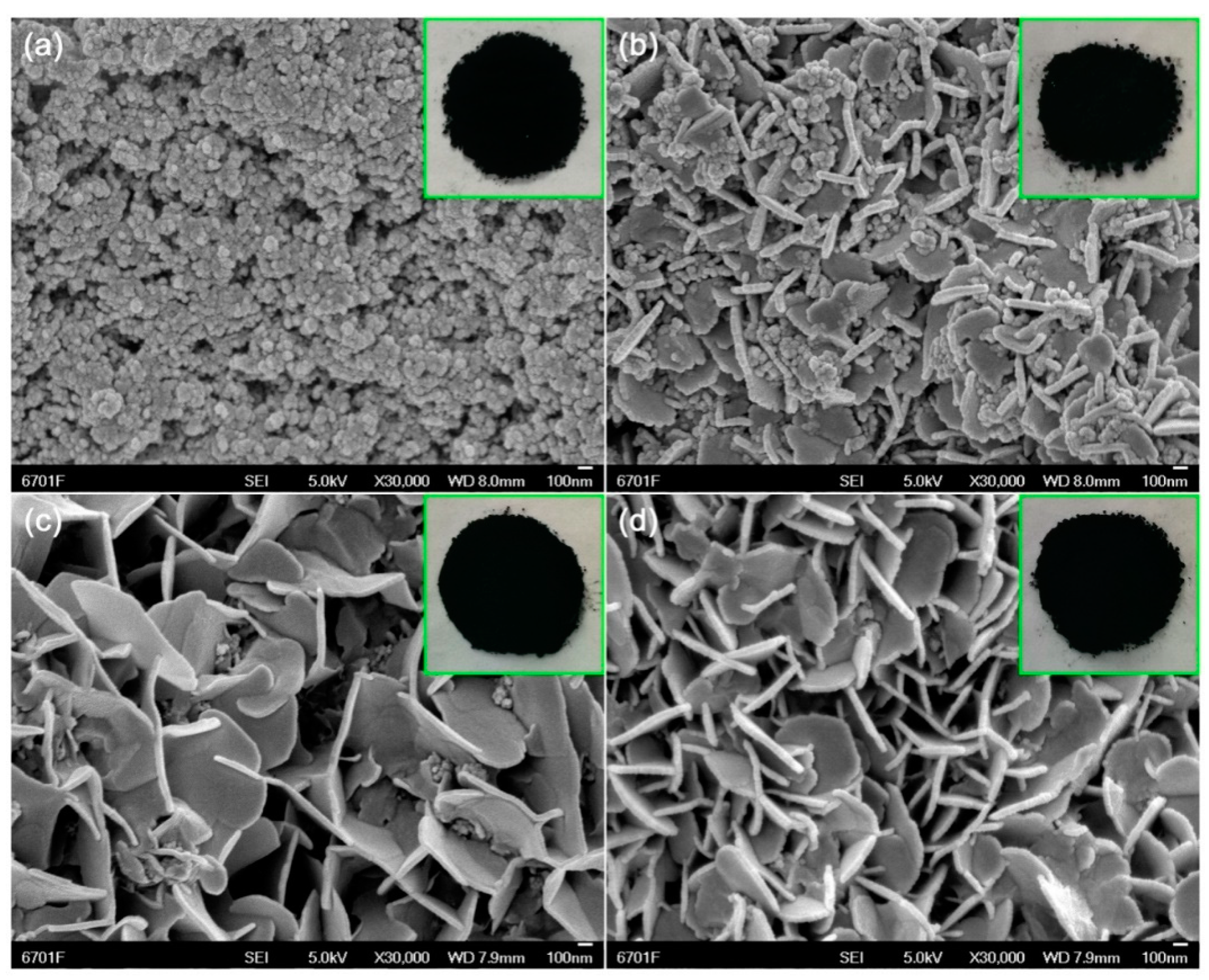Nanomaterials 10 00178 g001