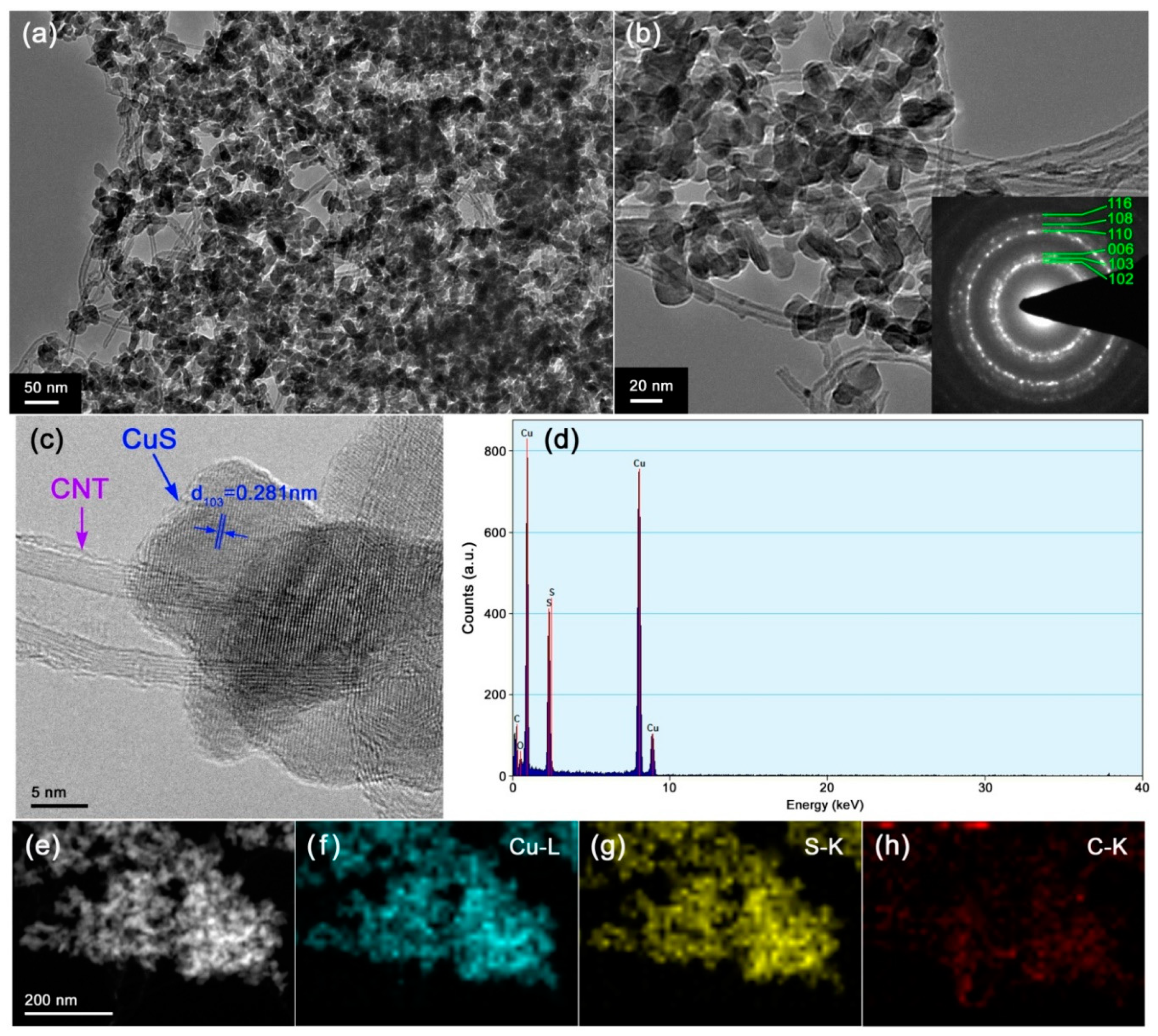 Nanomaterials 10 00178 g006