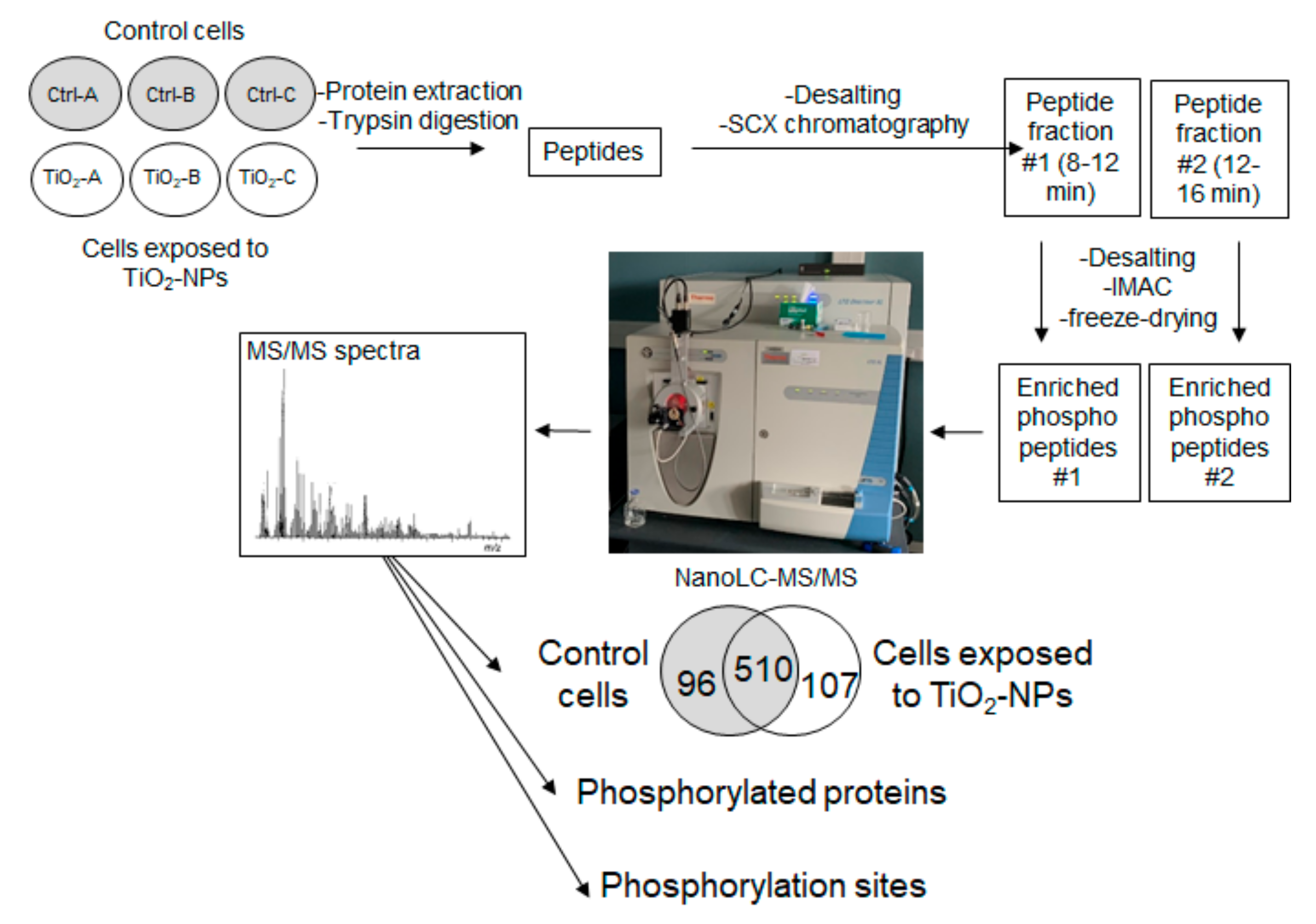 Nanomaterials 10 00185 g001