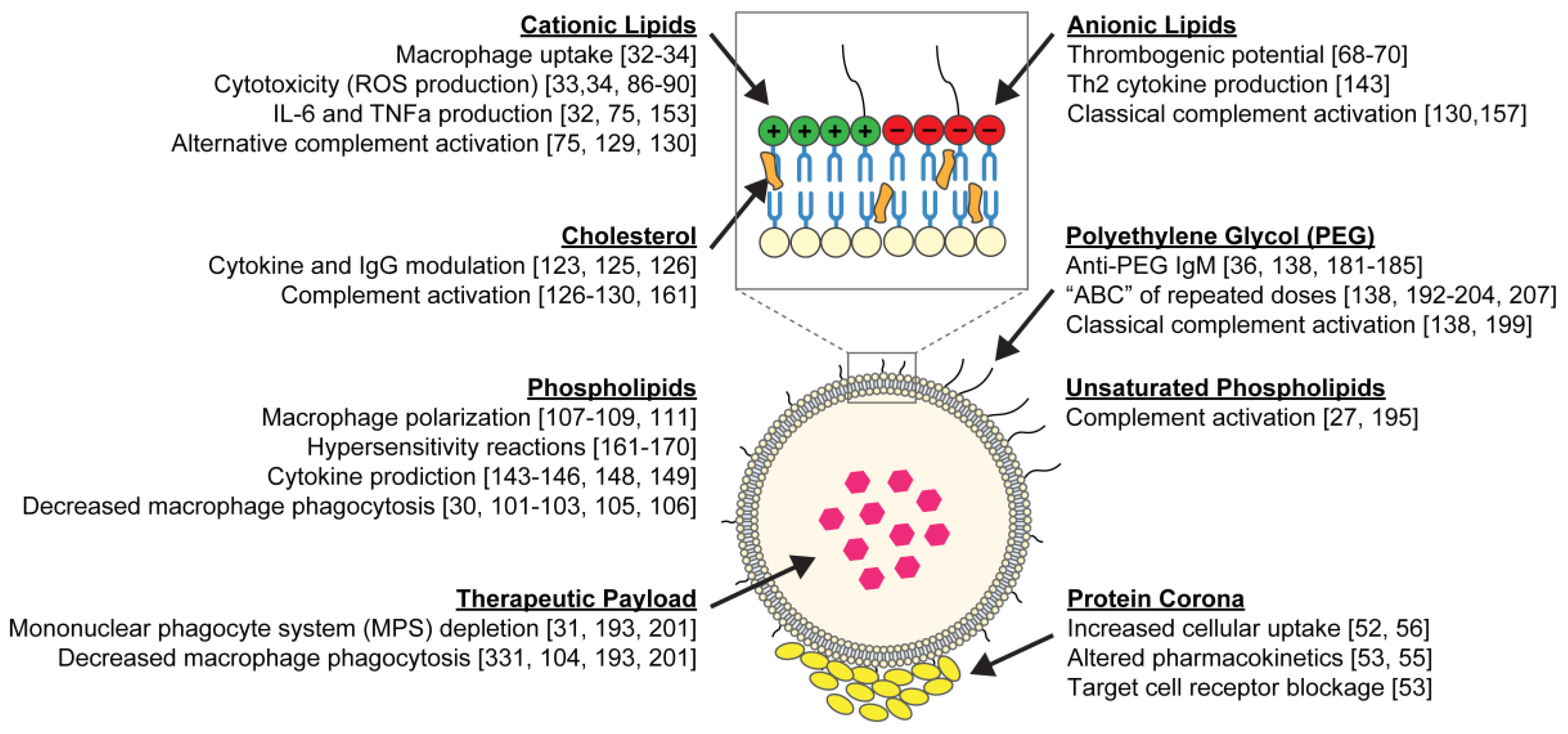 Nanomaterials 10 00190 g001