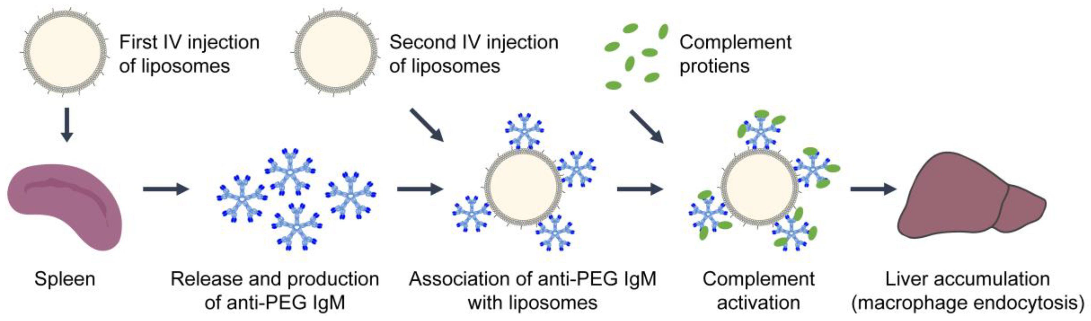 Nanomaterials 10 00190 g004