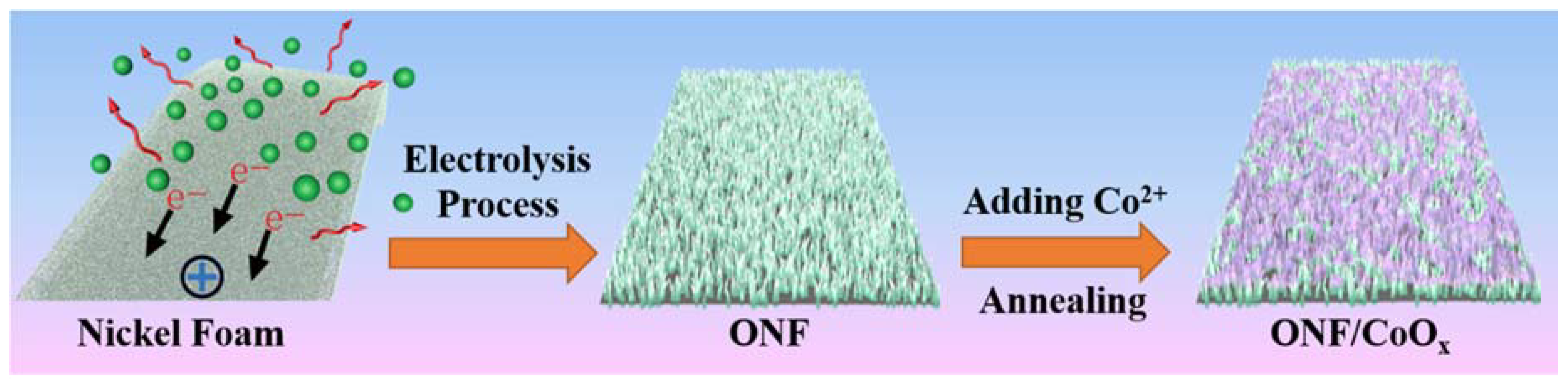 Nanomaterials 10 00194 g001