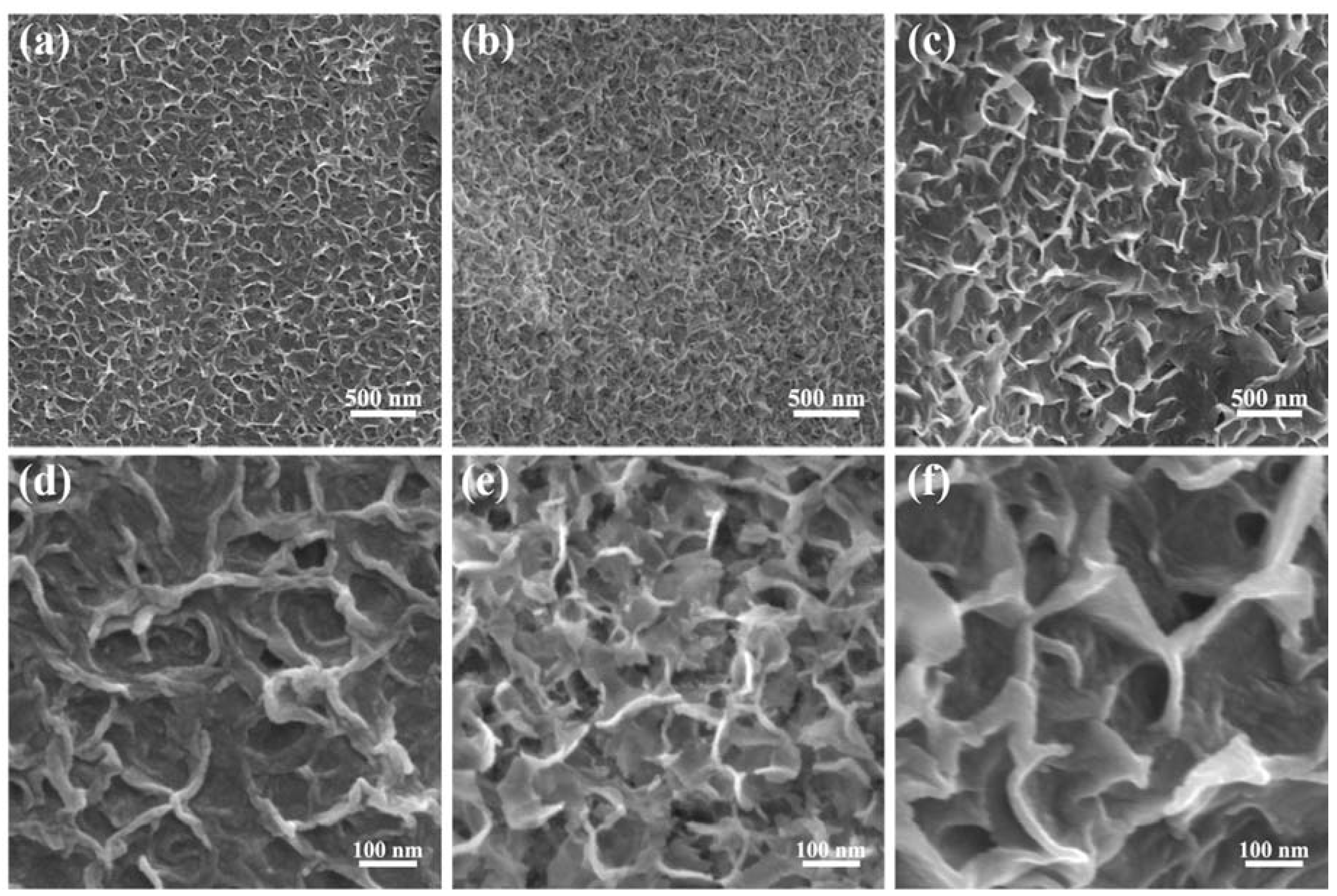 Nanomaterials 10 00194 g002