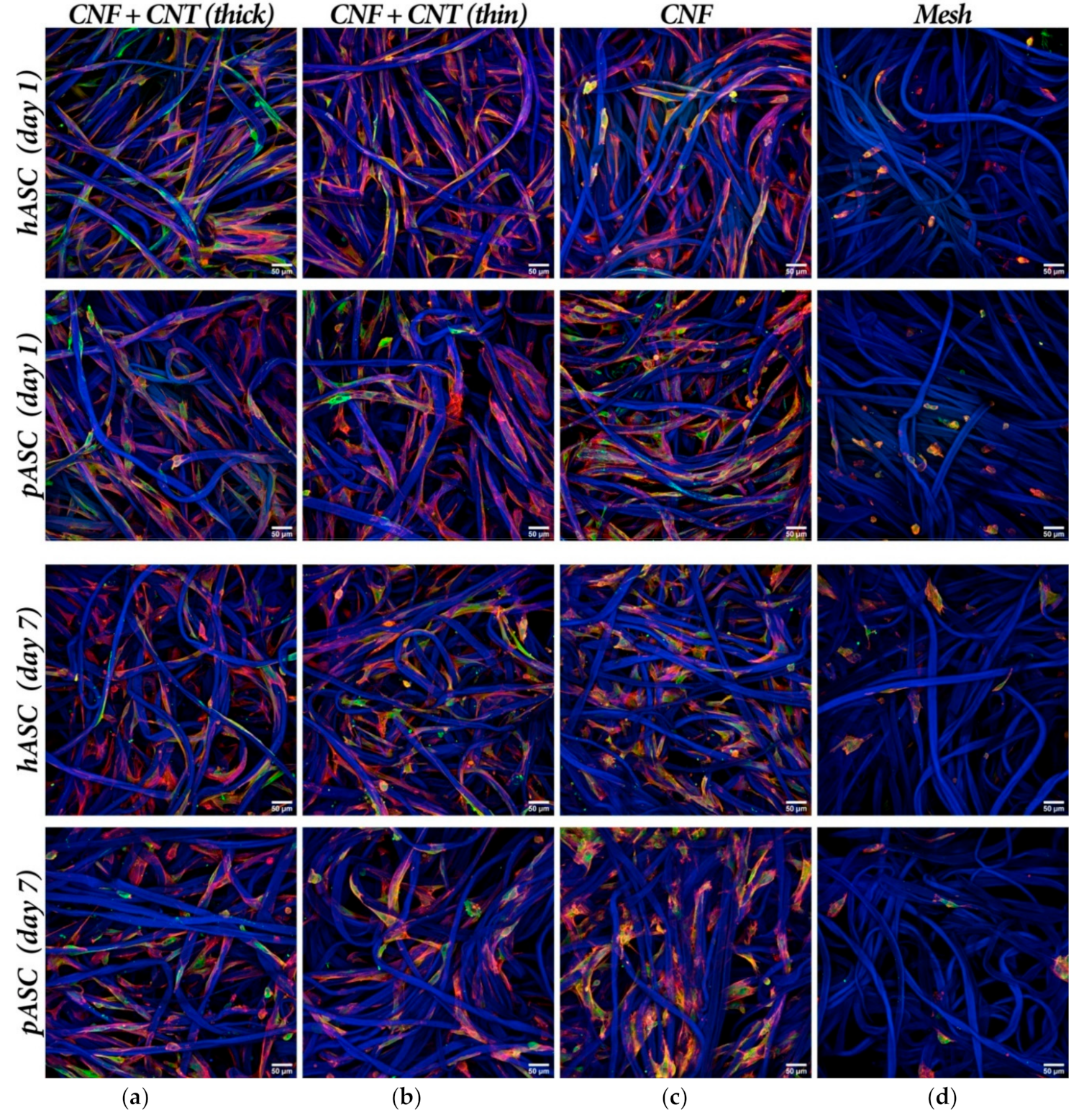 Nanomaterials 10 00196 g0a1