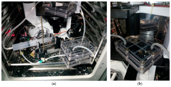 Nanomaterials 10 00196 g0a2