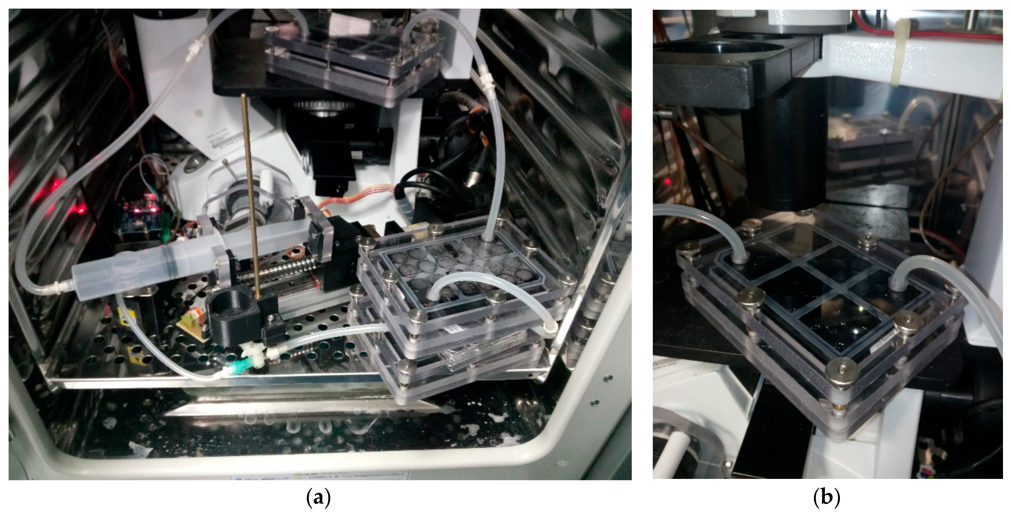 Nanomaterials 10 00196 g0a2
