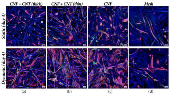 Nanomaterials 10 00196 g0a3