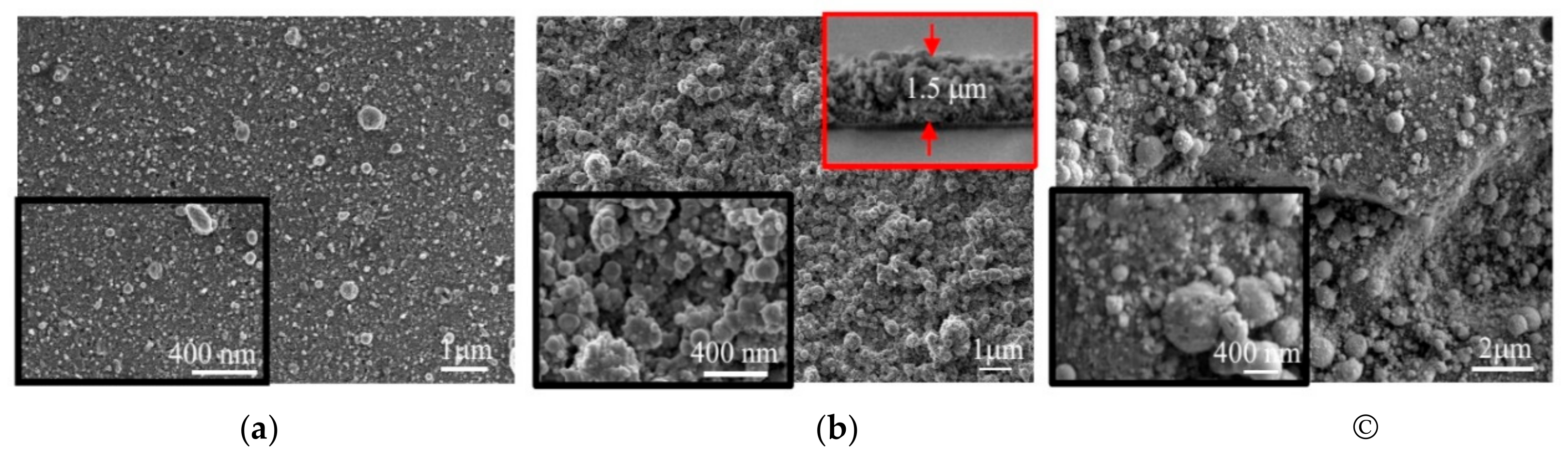 Nanomaterials 10 00201 g005