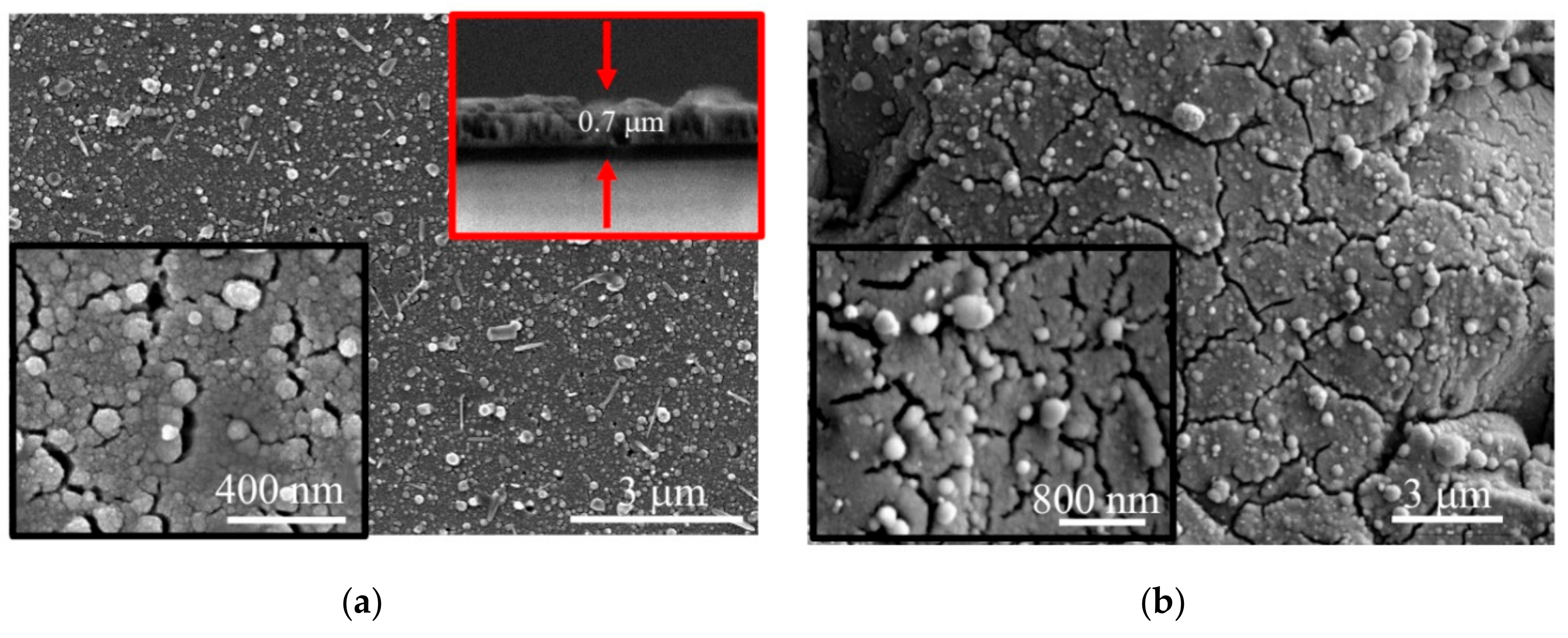 Nanomaterials 10 00201 g009