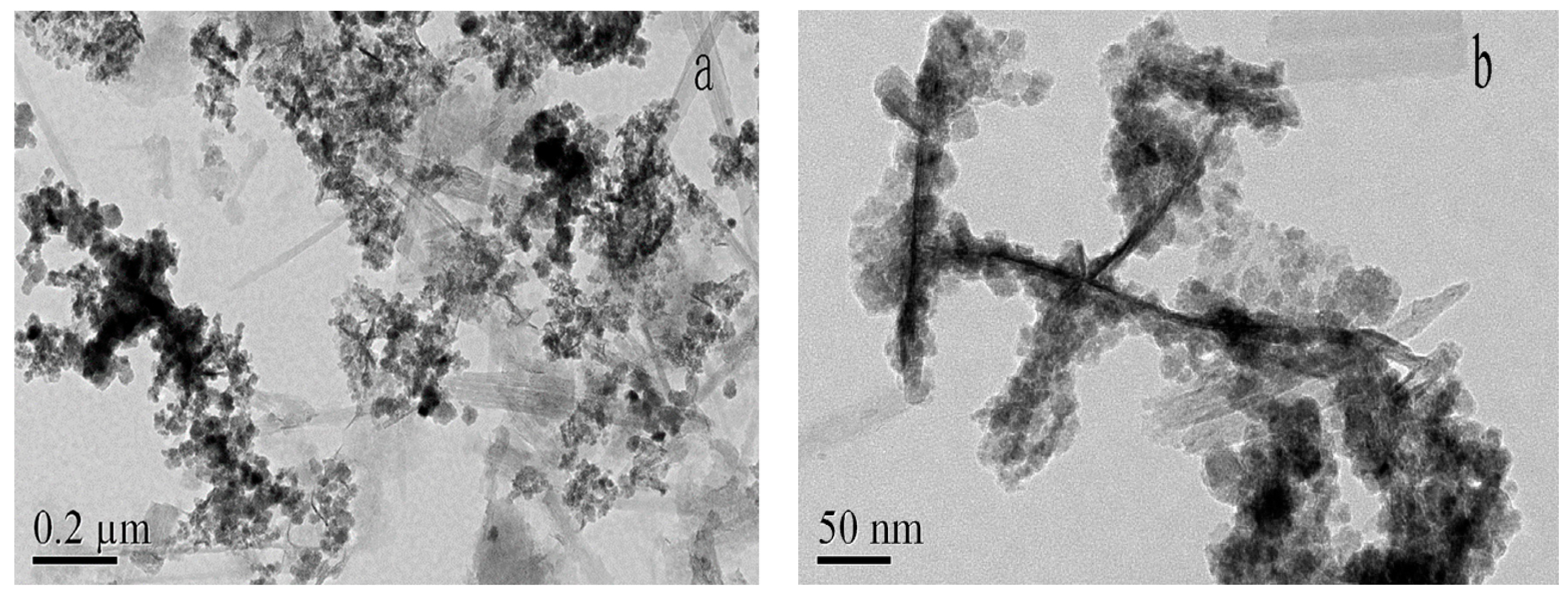 Nanomaterials 10 00205 g003 Nanomaterials 10 00205 g003