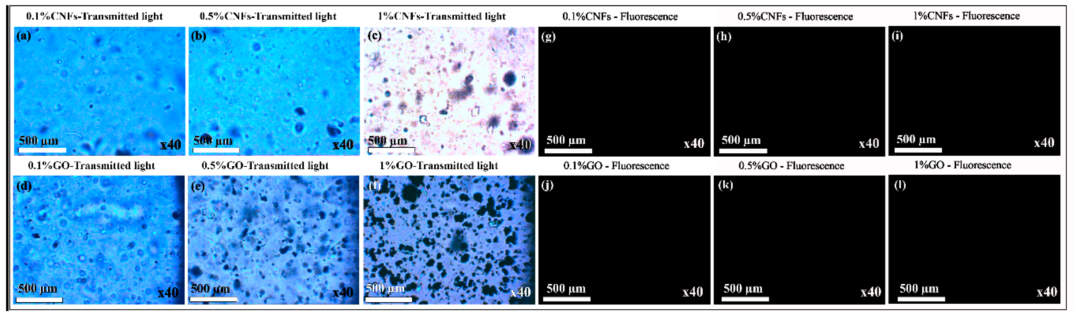 Nanomaterials 10 00206 g004