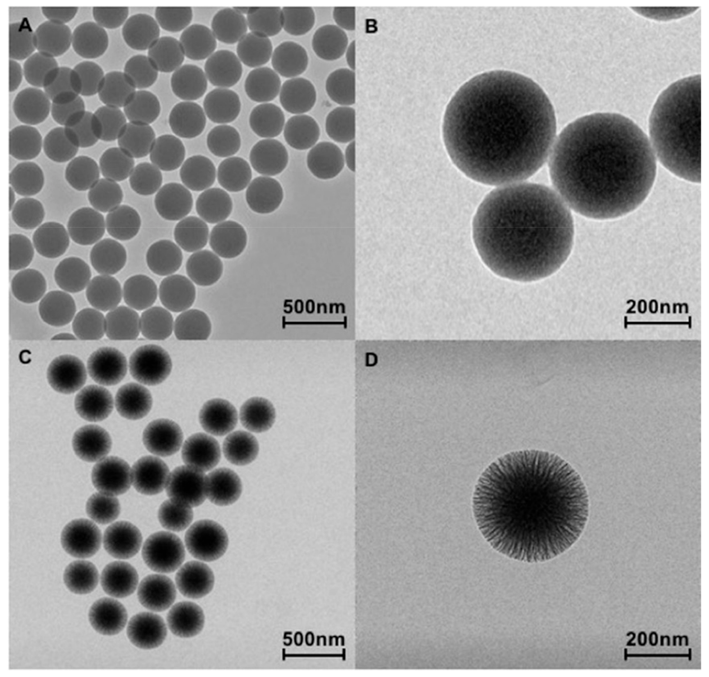 Nanomaterials 10 00208 g001