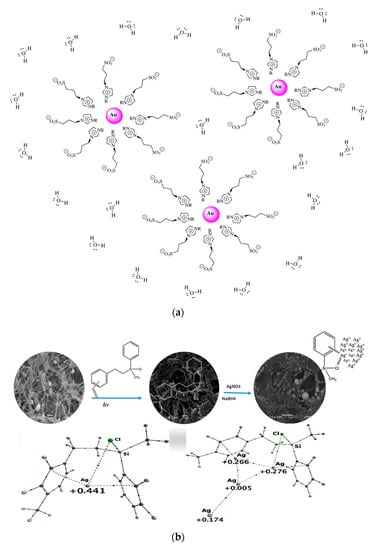 Nanomaterials 10 00209 g001