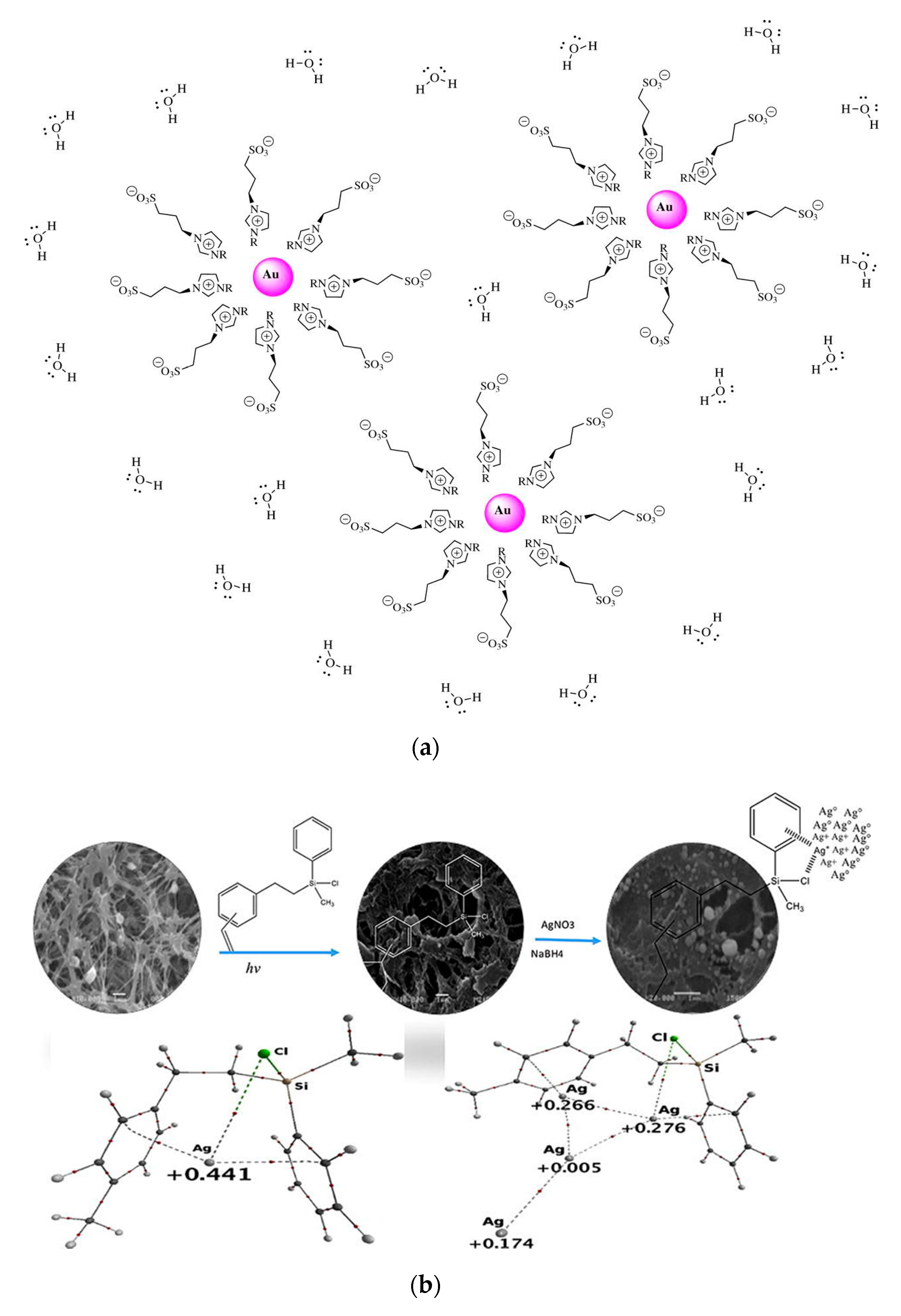 Nanomaterials 10 00209 g001