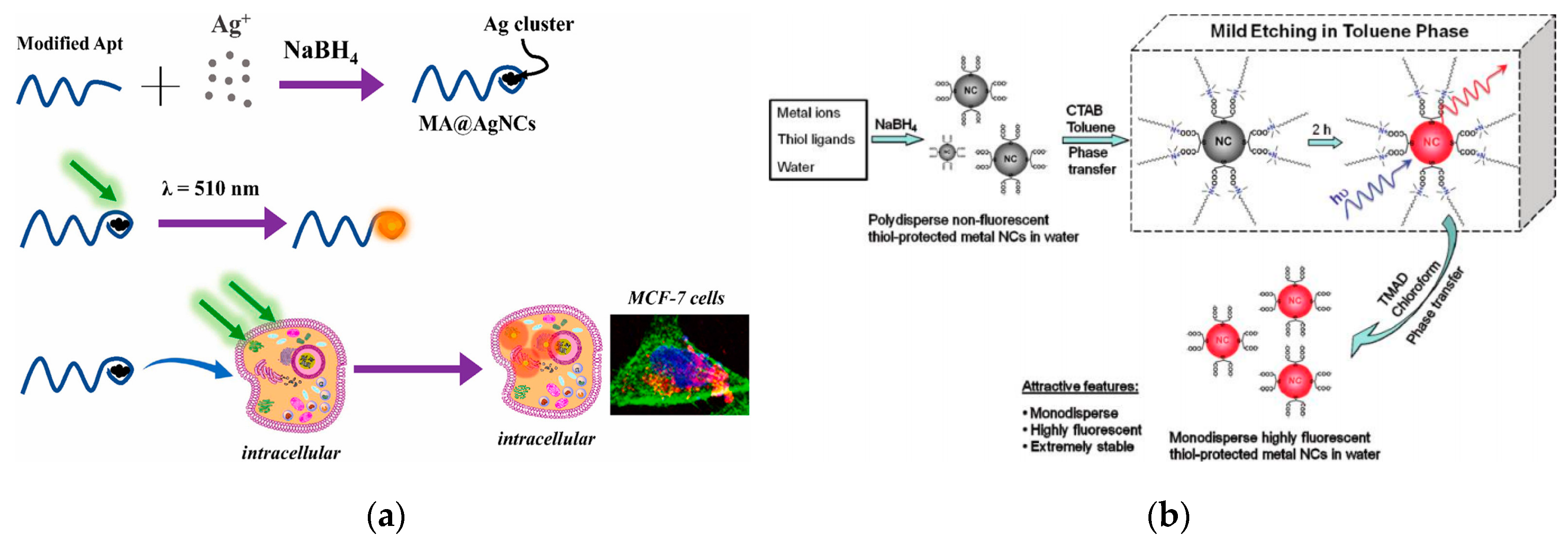 Nanomaterials 10 00209 g006