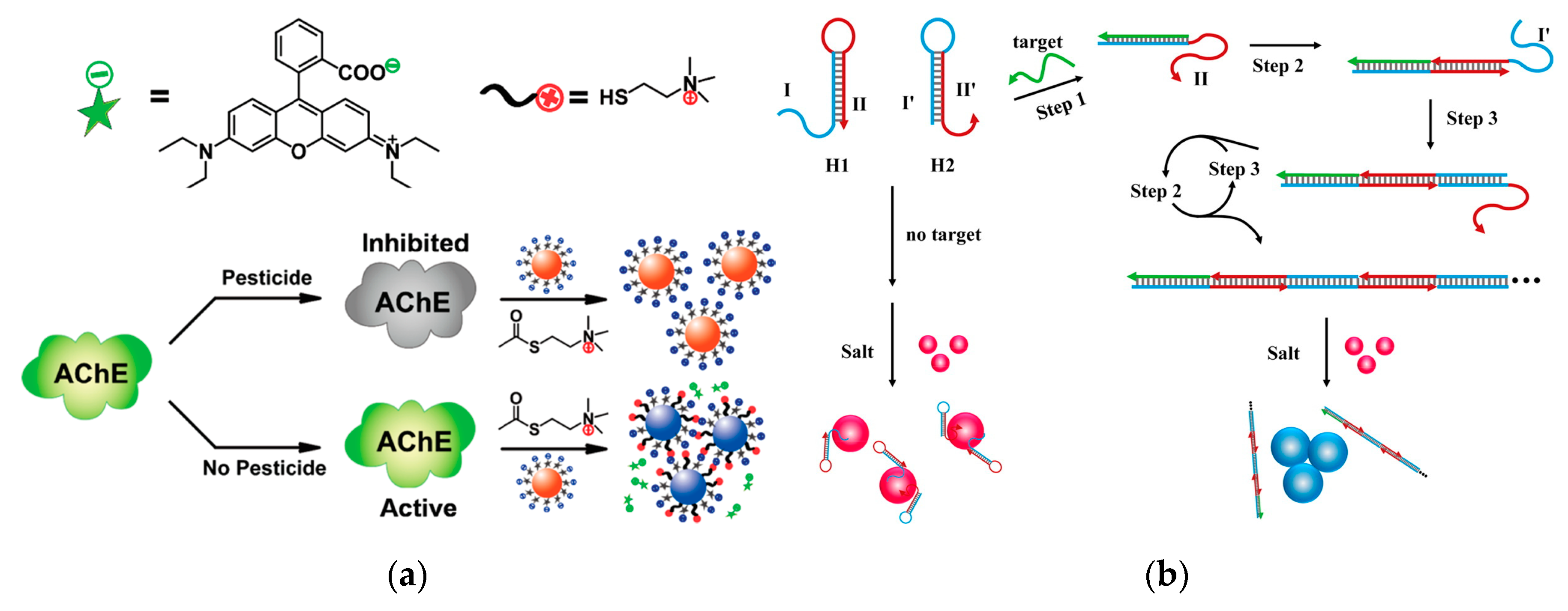 Nanomaterials 10 00209 g008