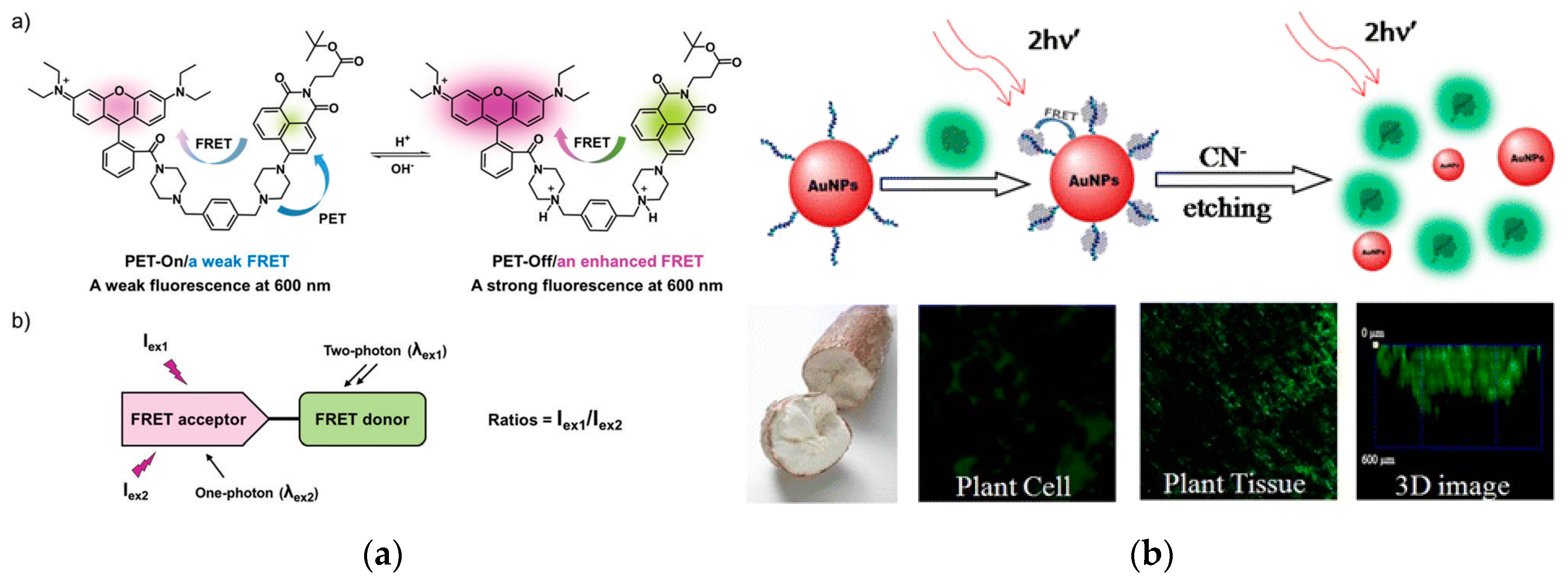 Nanomaterials 10 00209 g009