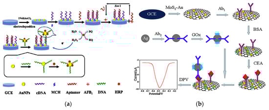 Nanomaterials 10 00209 g011