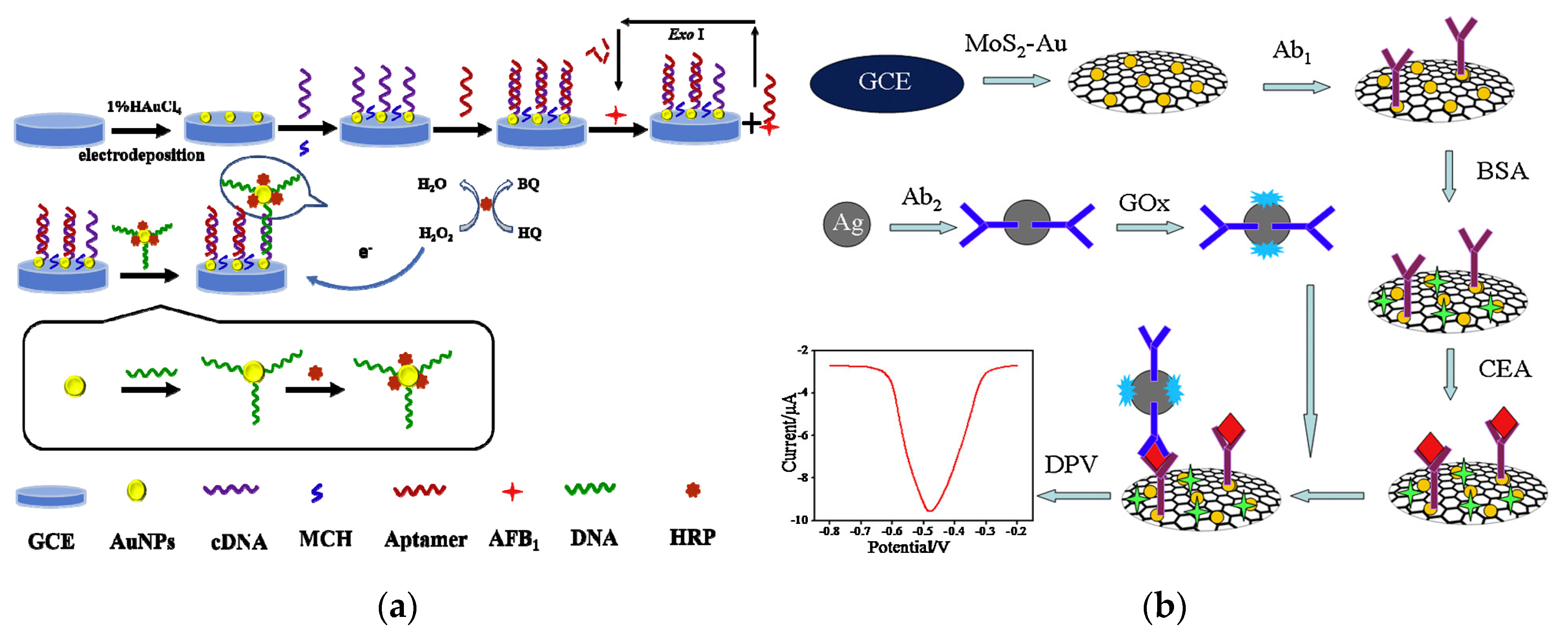 Nanomaterials 10 00209 g011