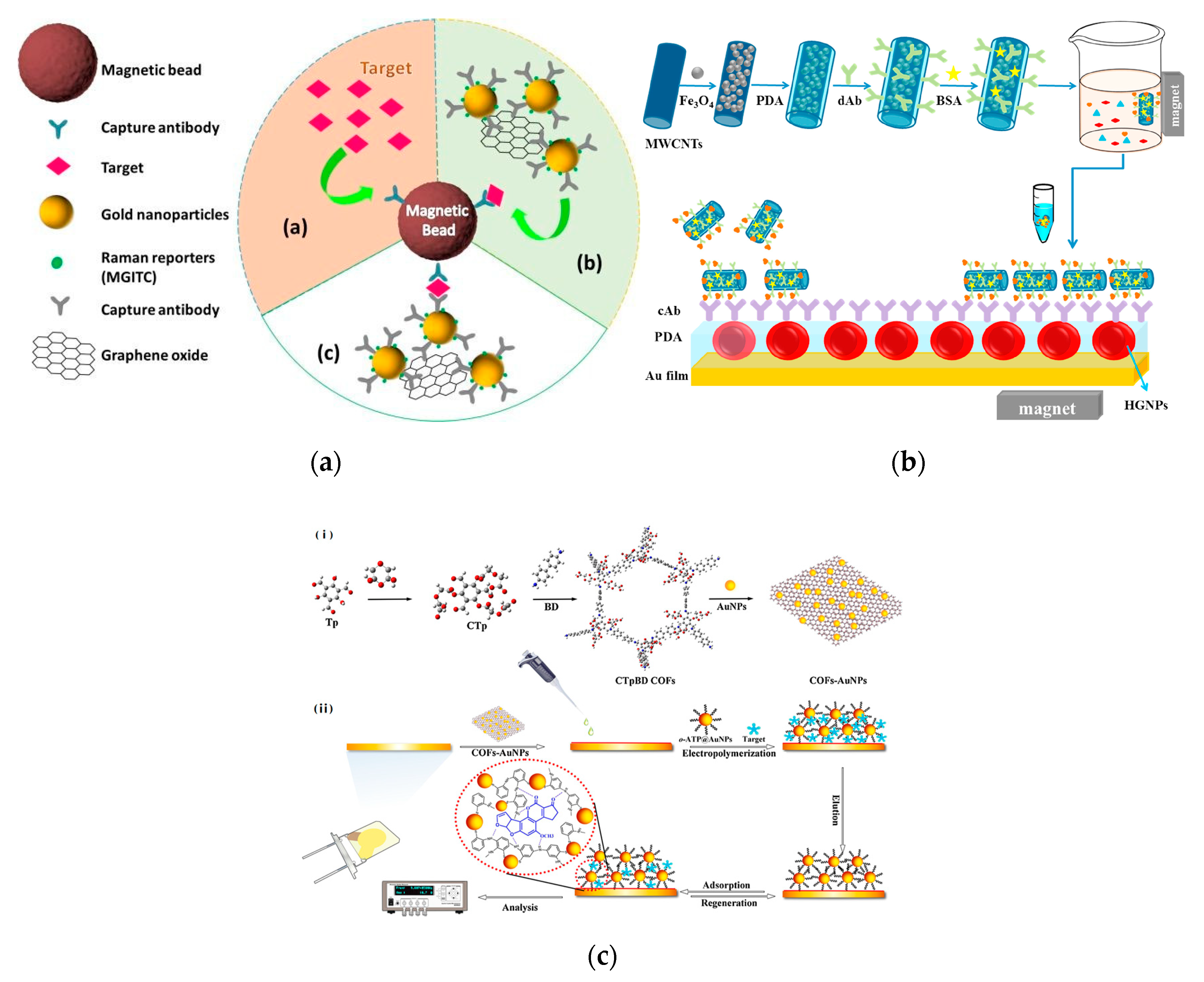 Nanomaterials 10 00209 g012