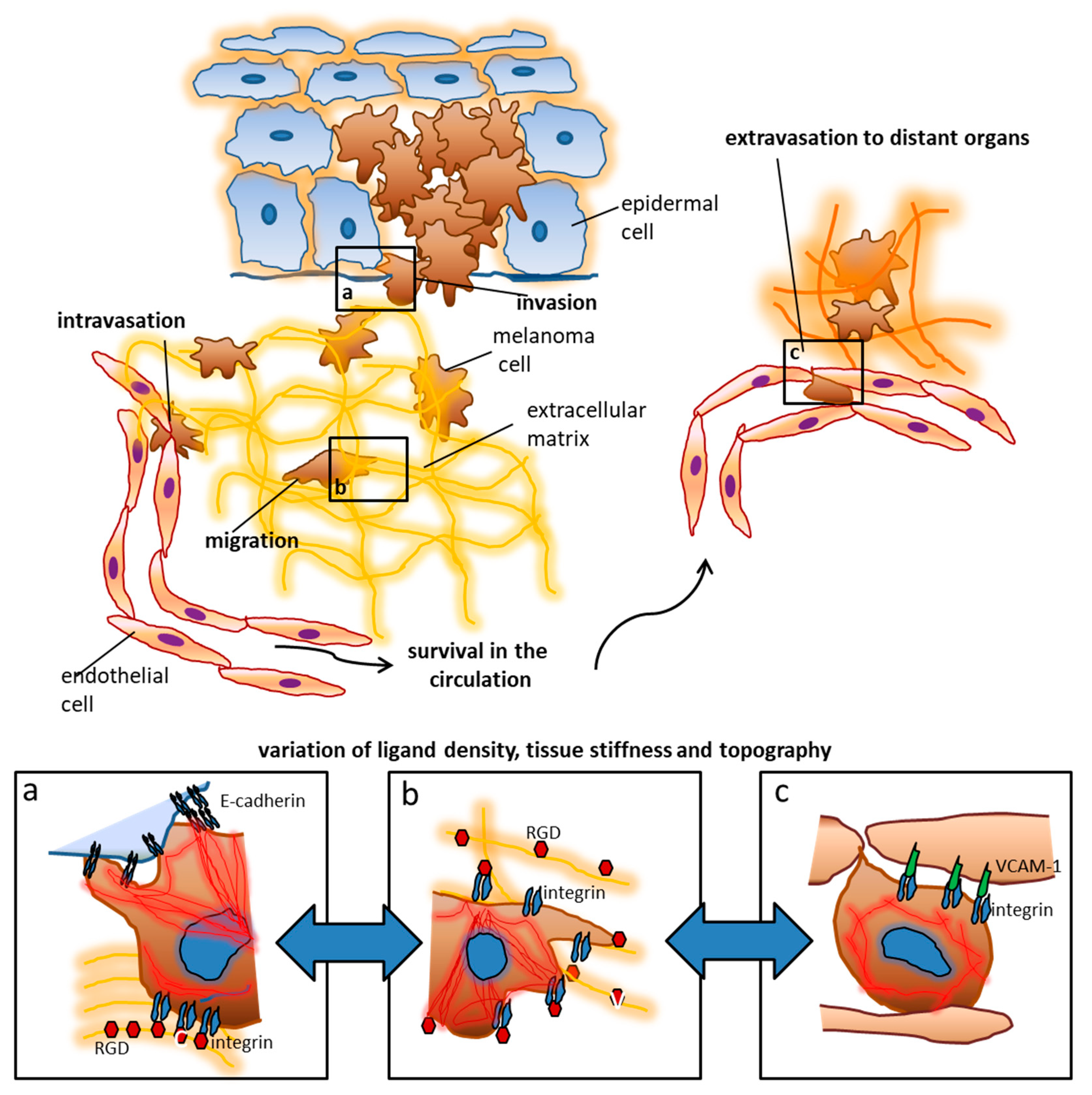 Nanomaterials 10 00212 g001