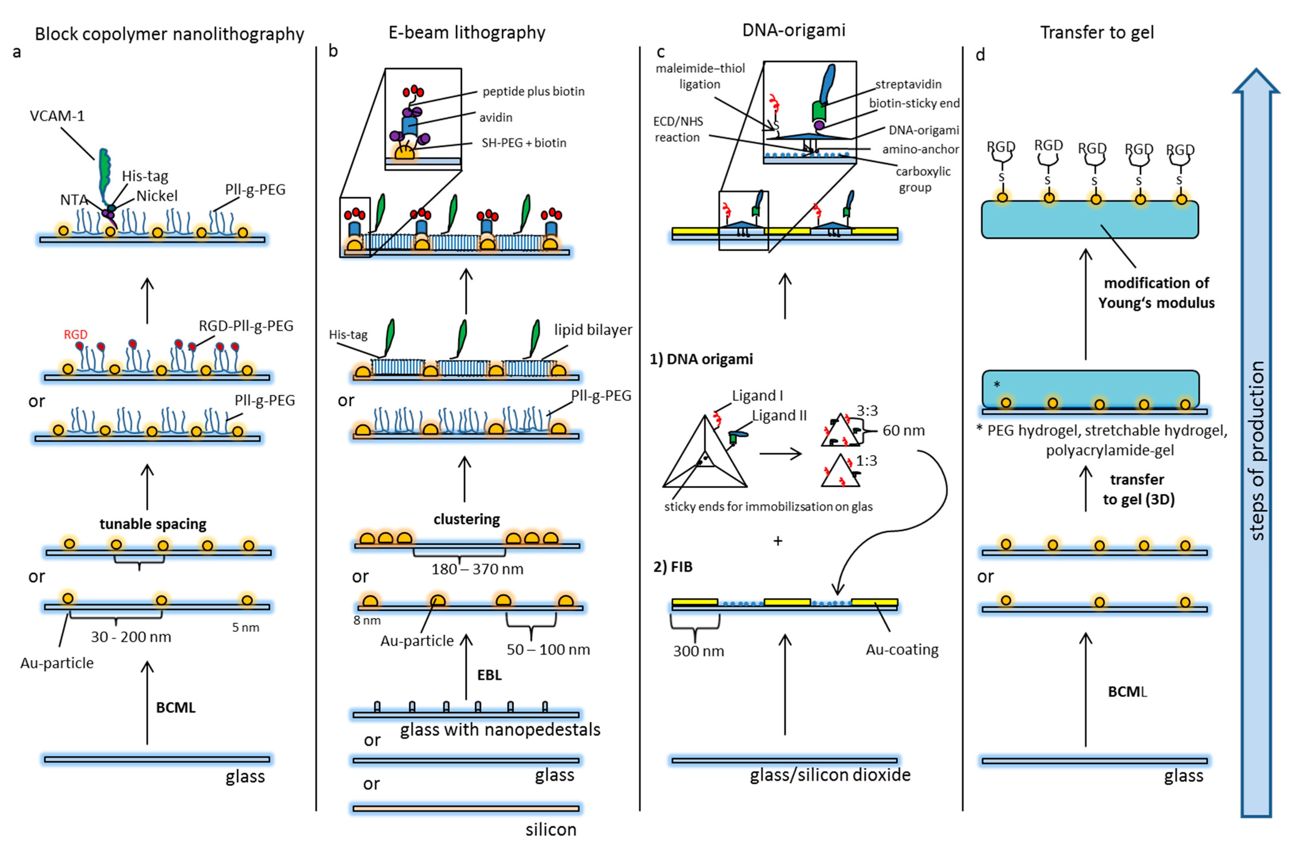 Nanomaterials 10 00212 g002