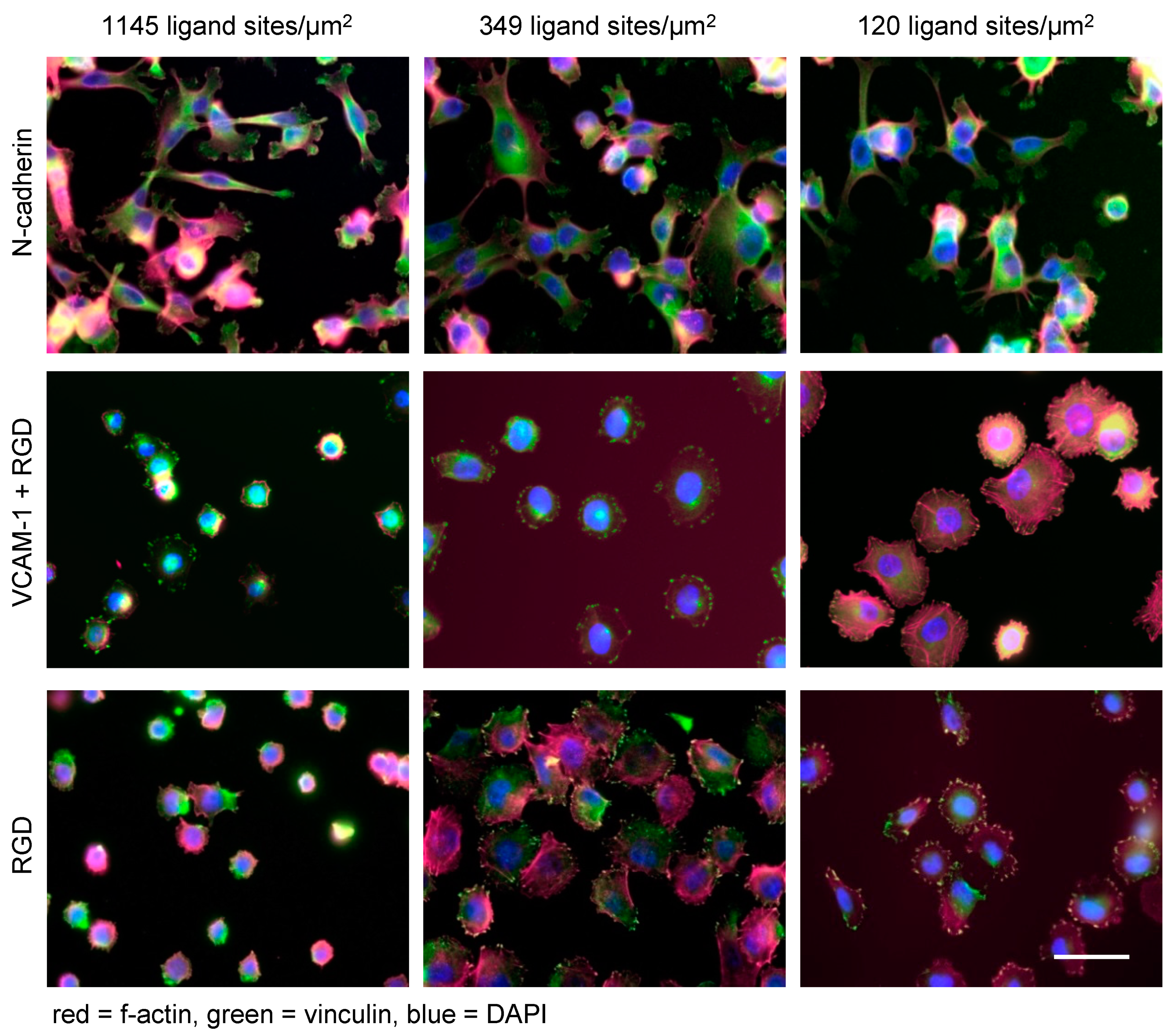 Nanomaterials 10 00212 g003