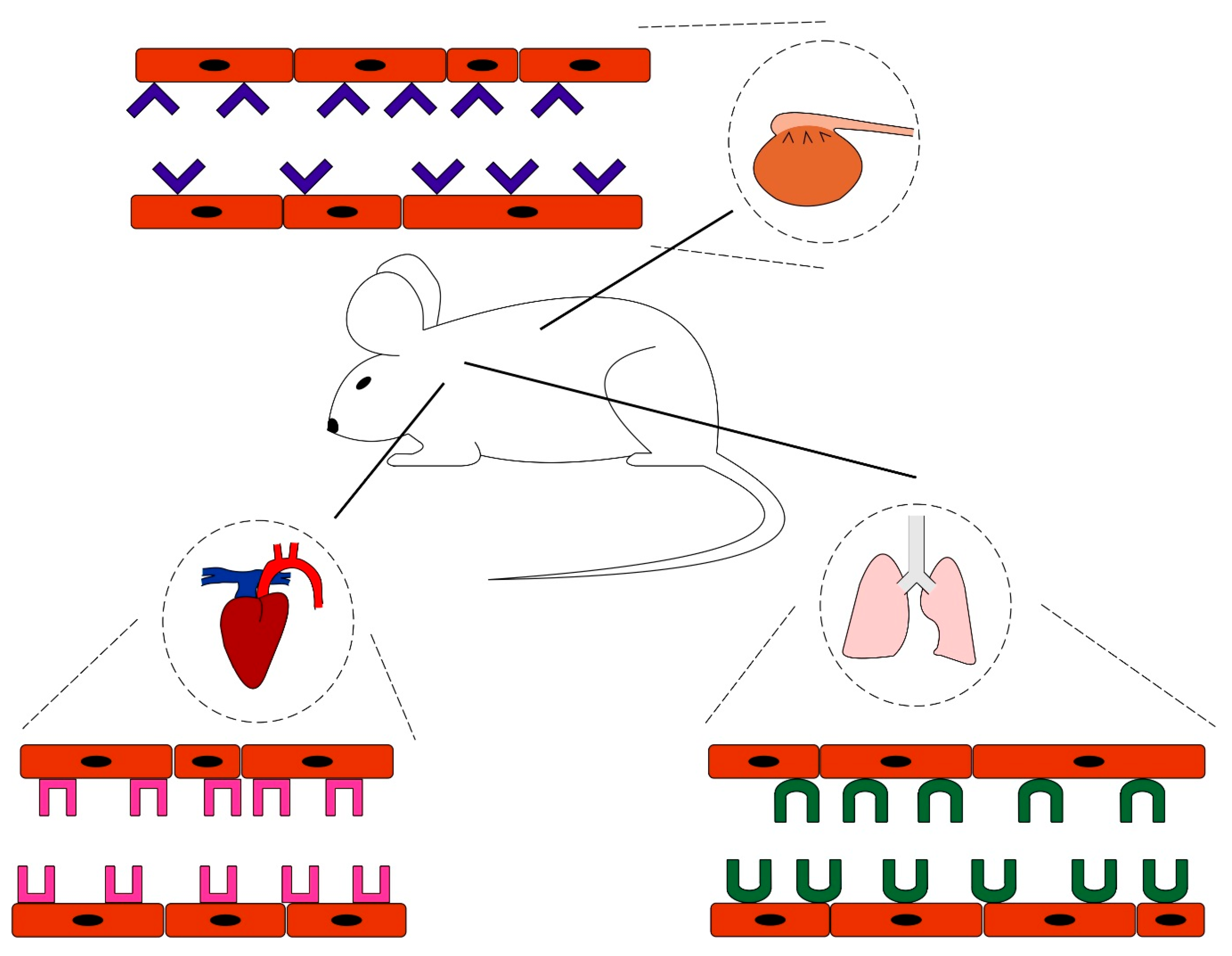 Nanomaterials 10 00226 g001