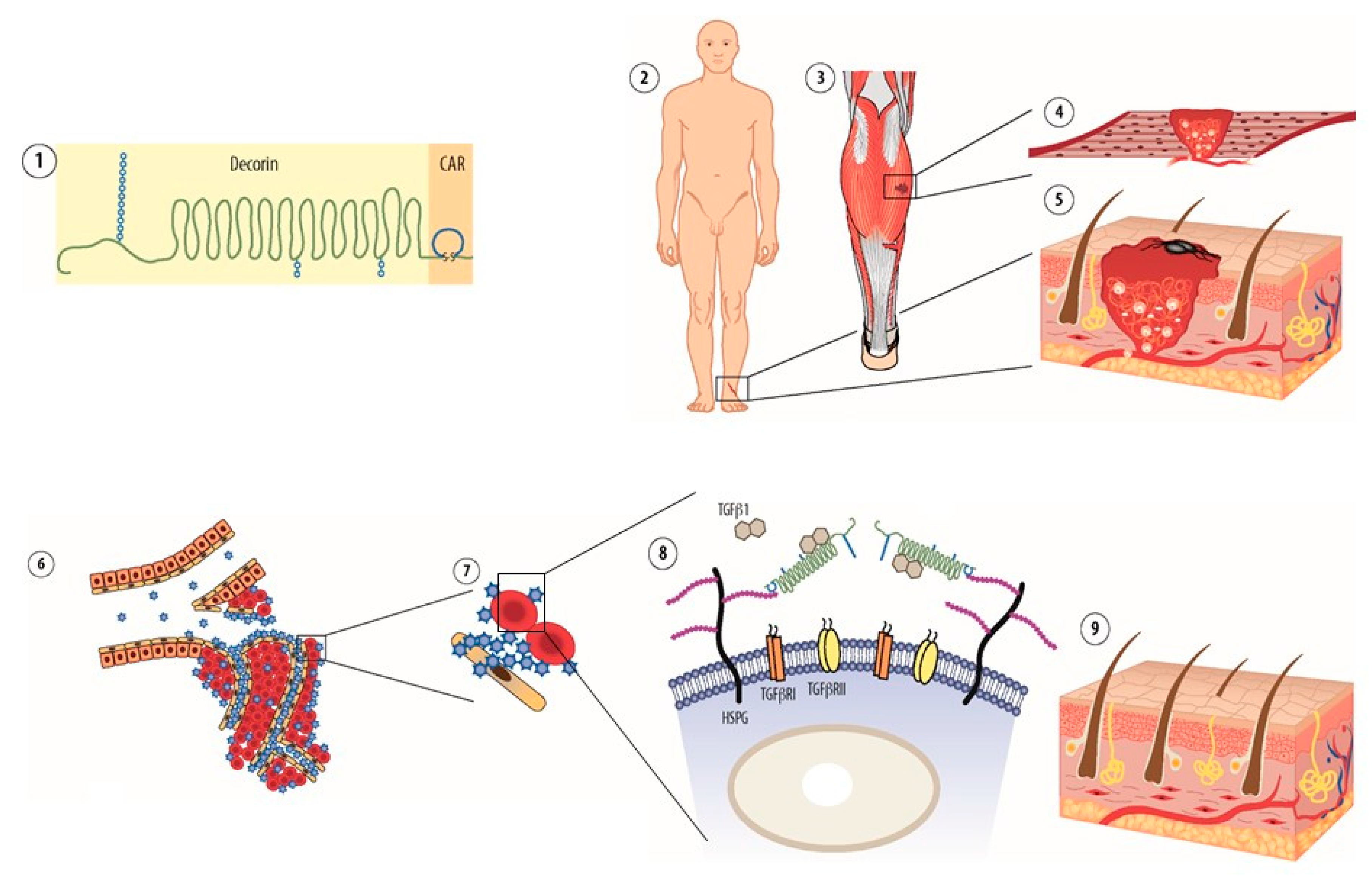 Nanomaterials 10 00226 g003
