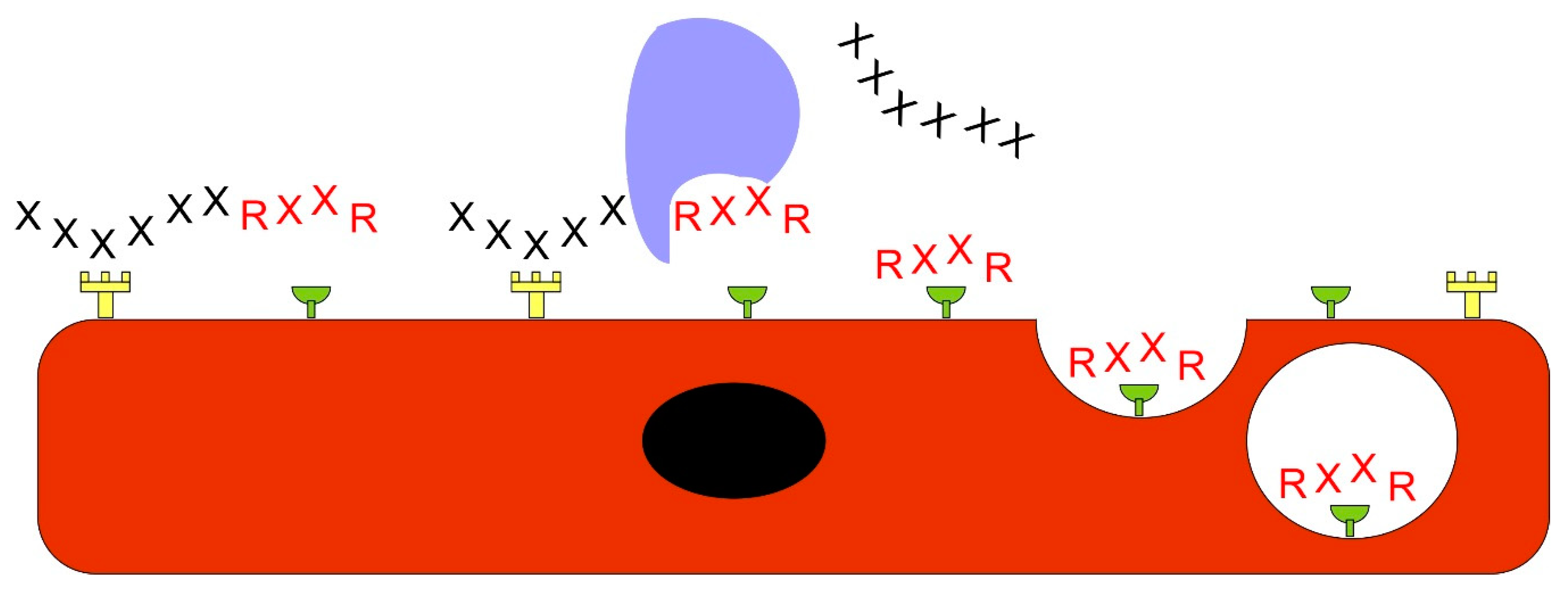 Nanomaterials 10 00226 g005