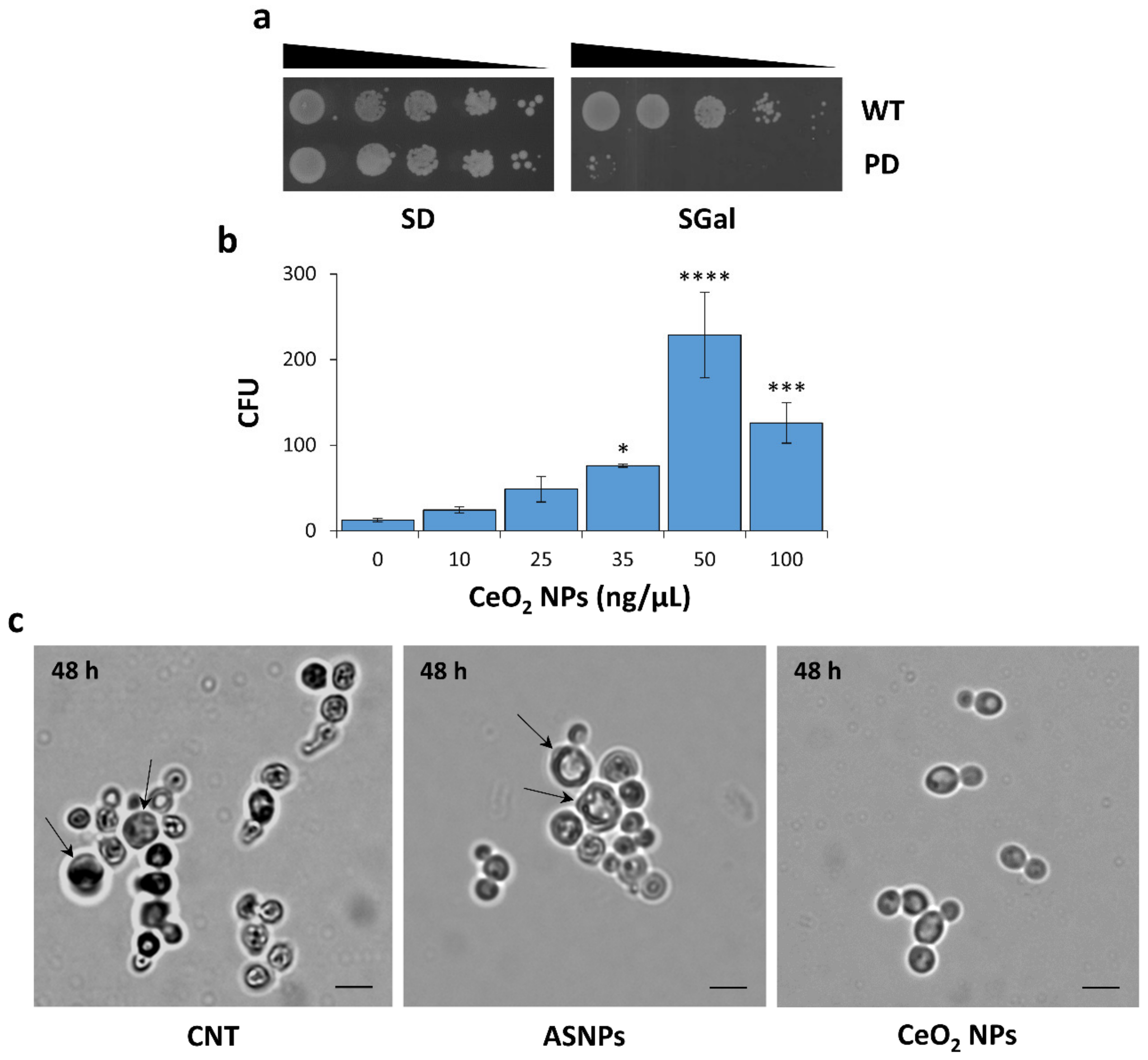 Nanomaterials 10 00235 g001 Nanomaterials 10 00235 g001
