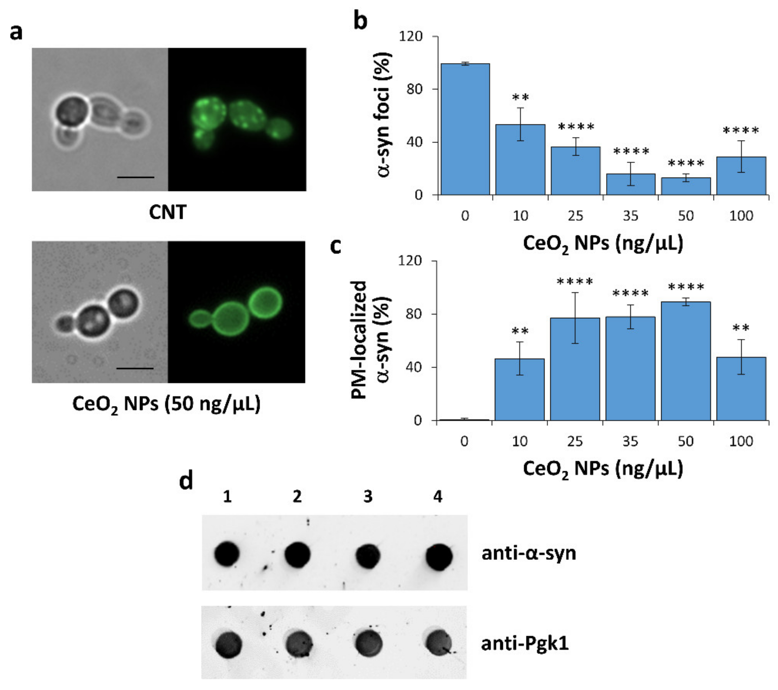 Nanomaterials 10 00235 g003 Nanomaterials 10 00235 g003
