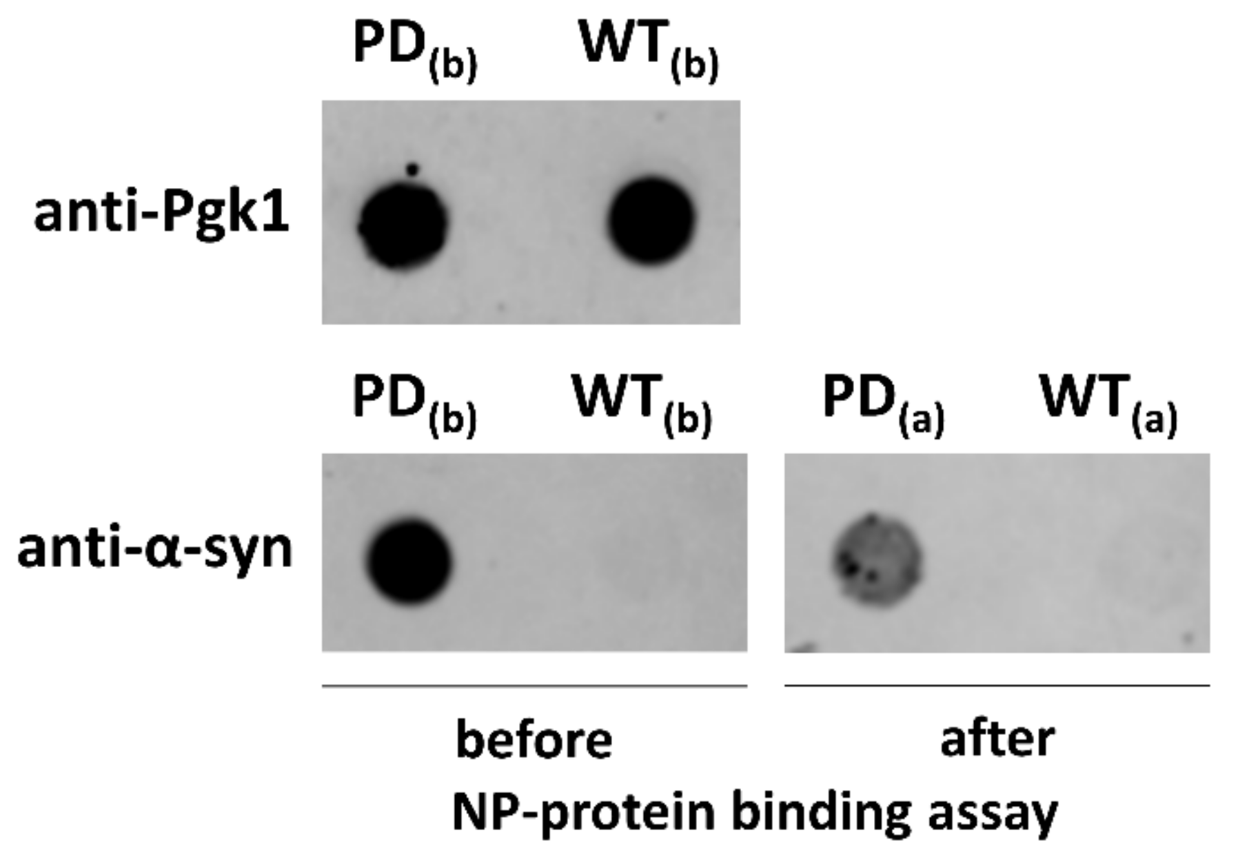Nanomaterials 10 00235 g005 Nanomaterials 10 00235 g005
